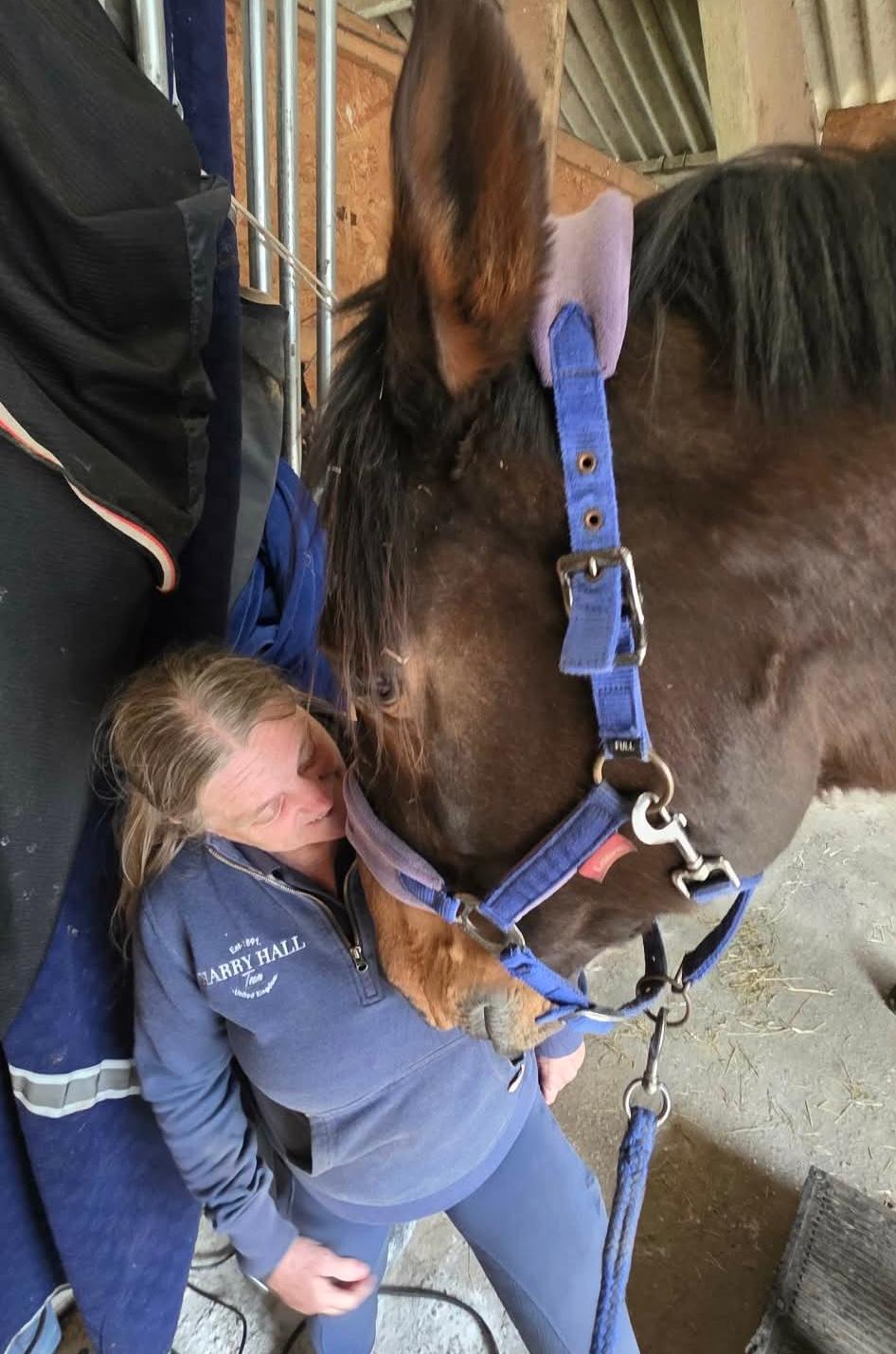 Equine Back To Life photo 4