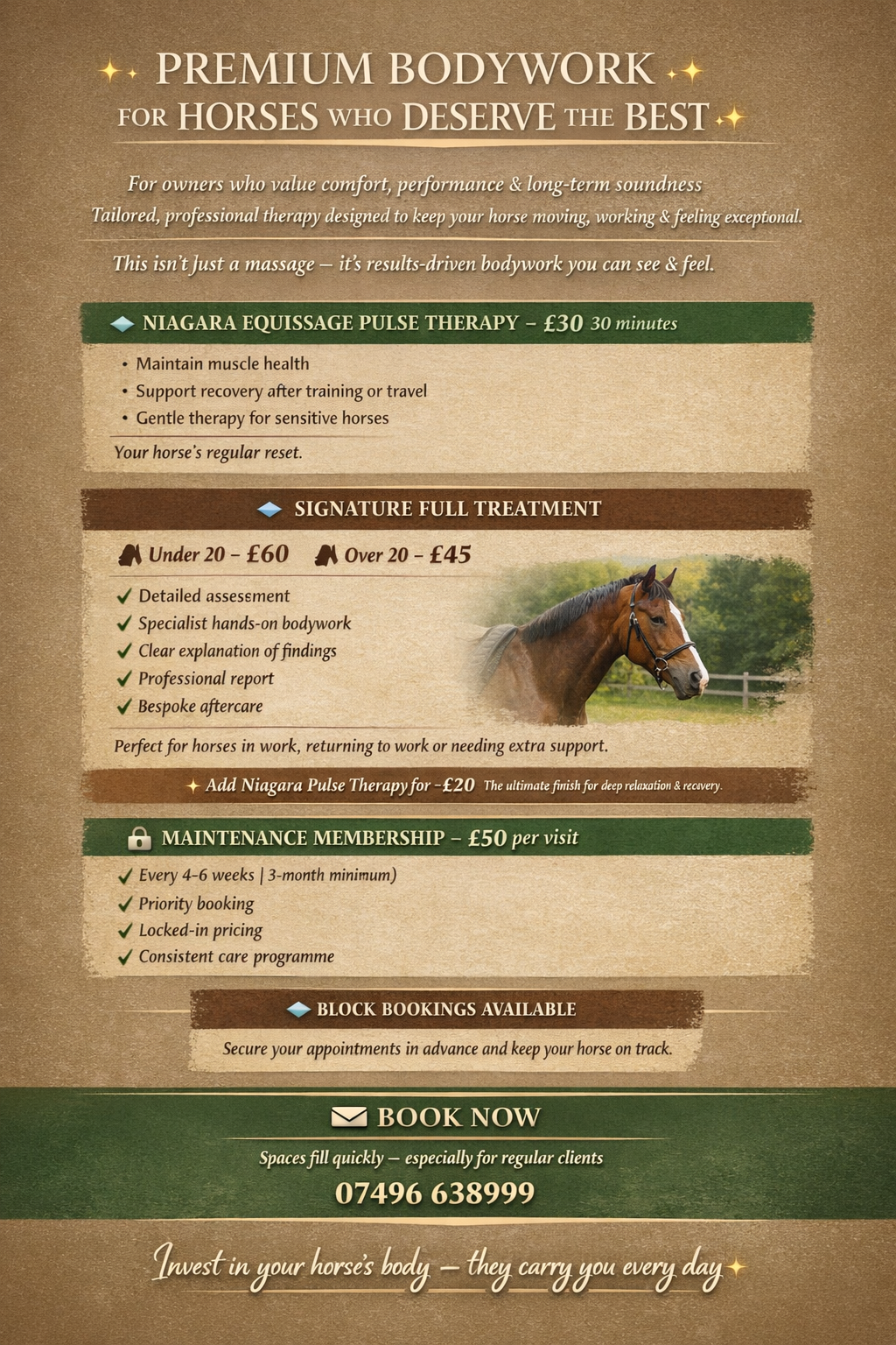 Fletchers Equine Bodywork photo 3