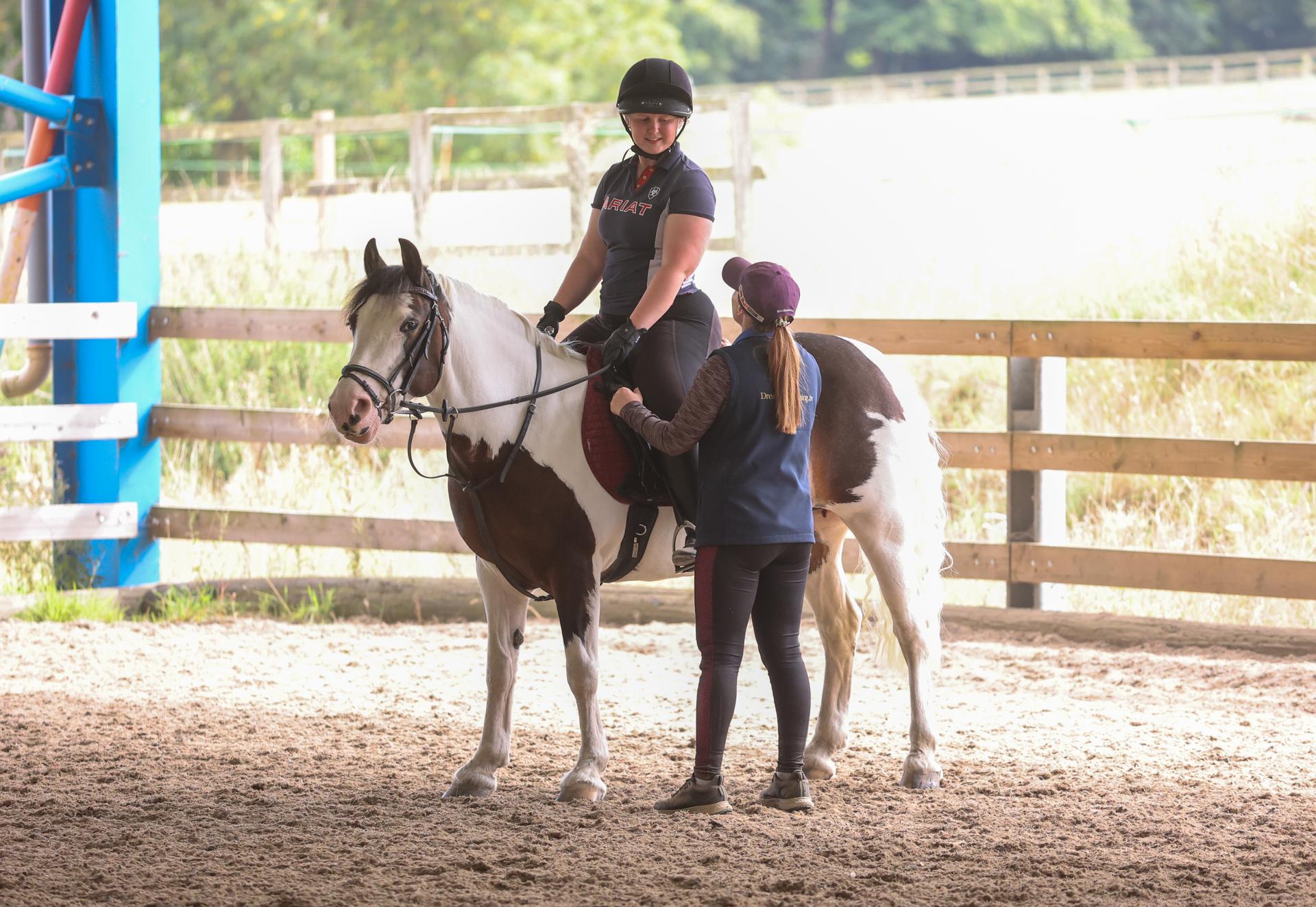 JL Equestrian Coach photo 1