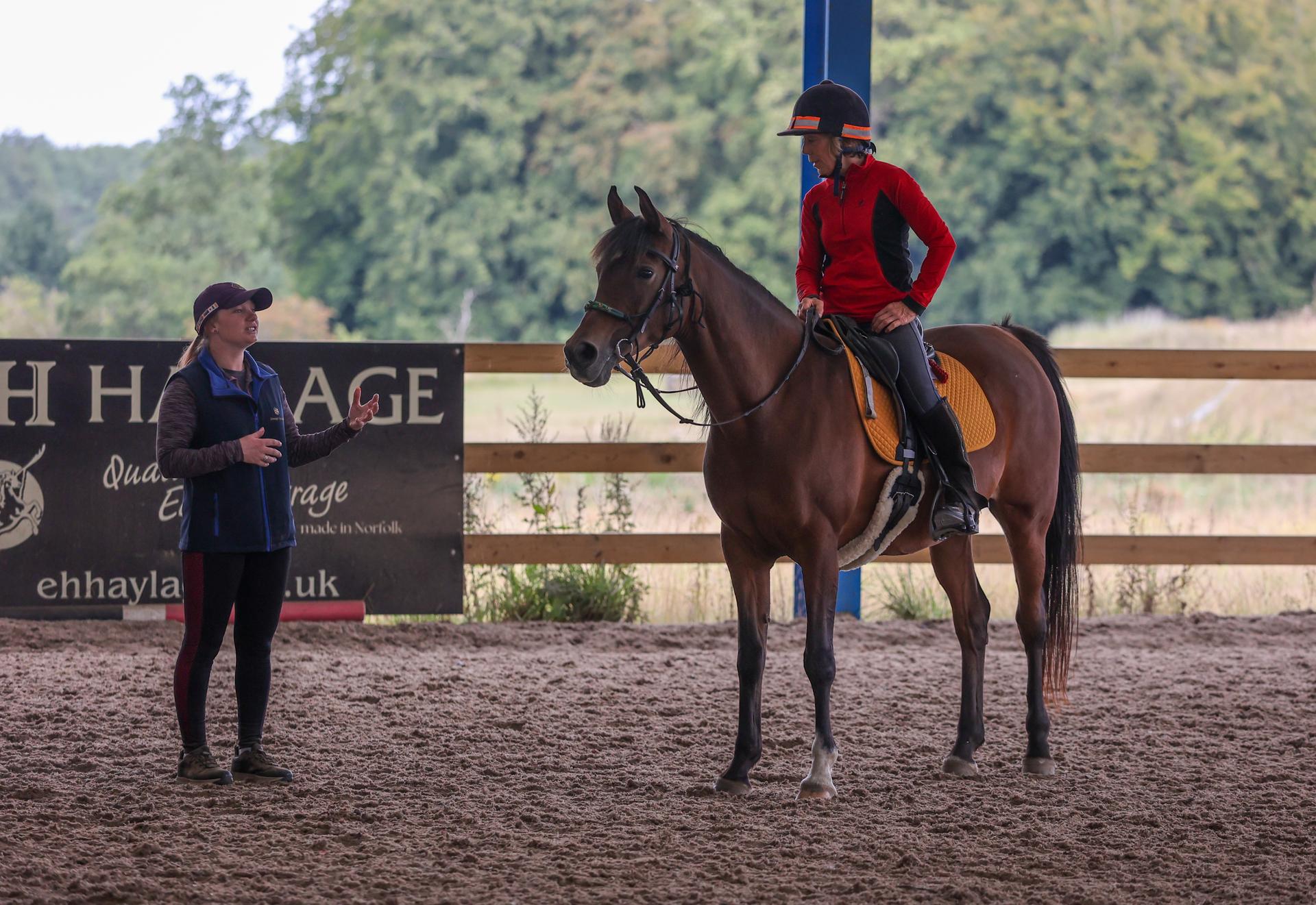 JL Equestrian Coach photo 2