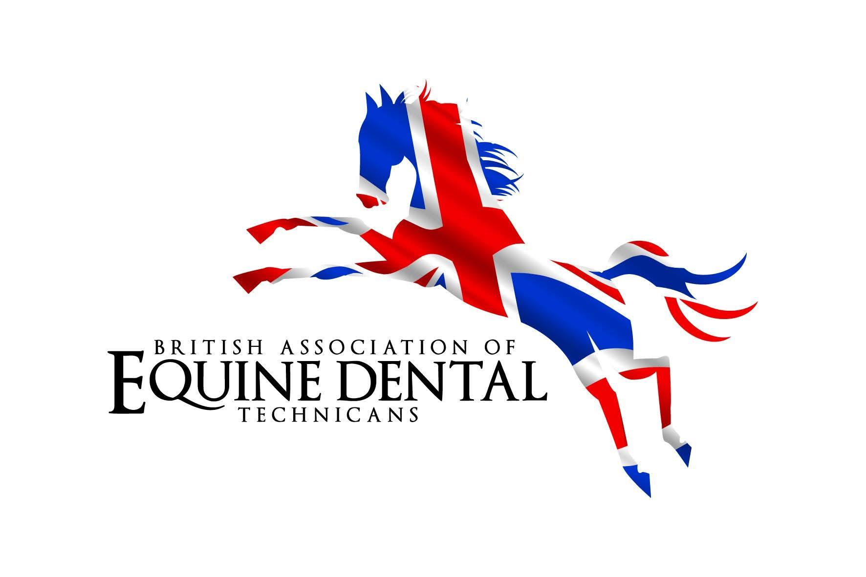 Emelie Real -   Real Equine Dentistry photo 2