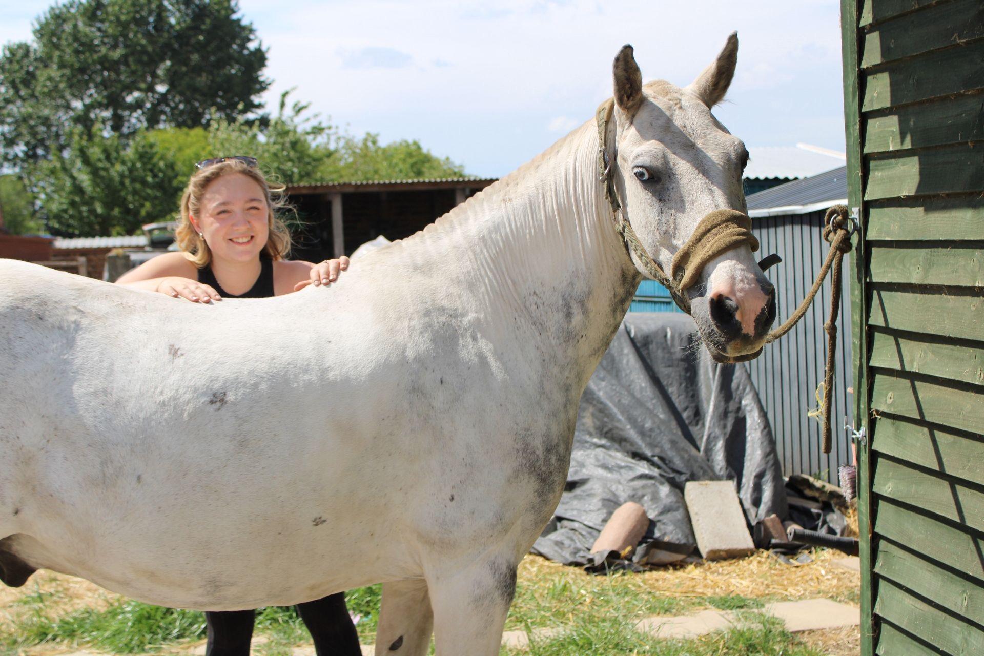 SM Equine Massage Therapy