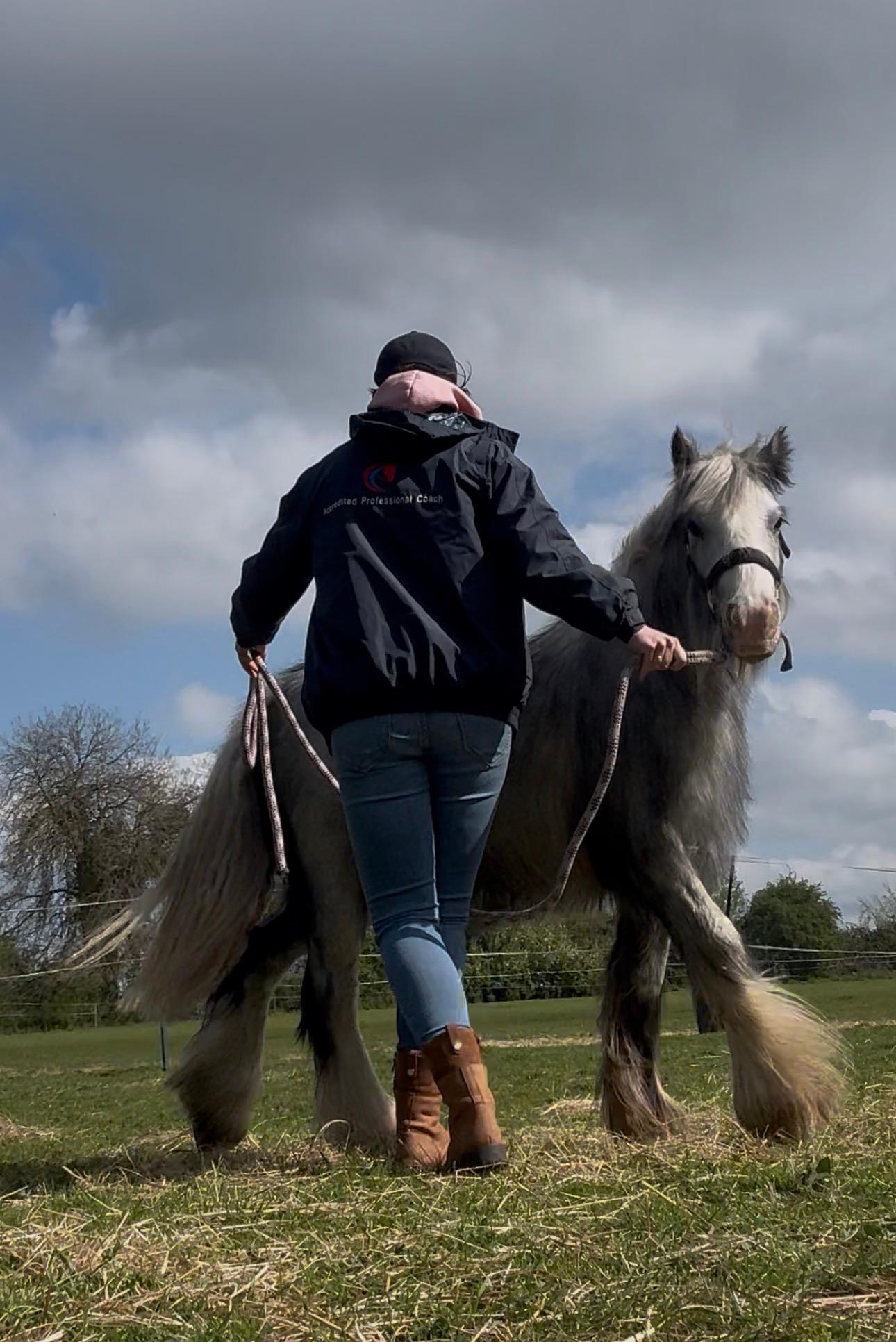G W Equine Services photo 5