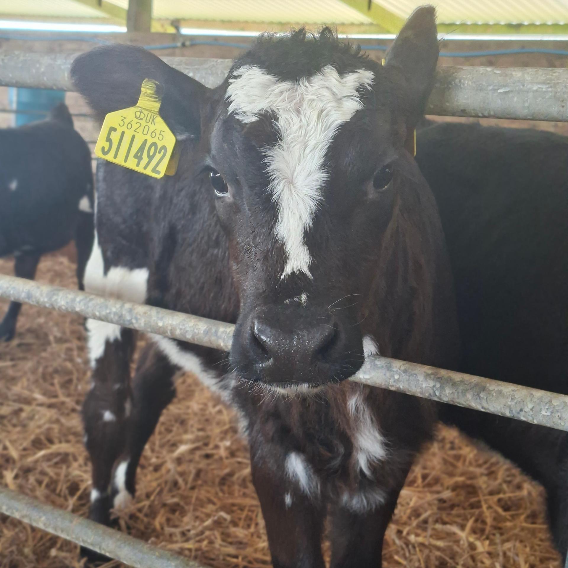 ES Farm & Equine Services photo 1