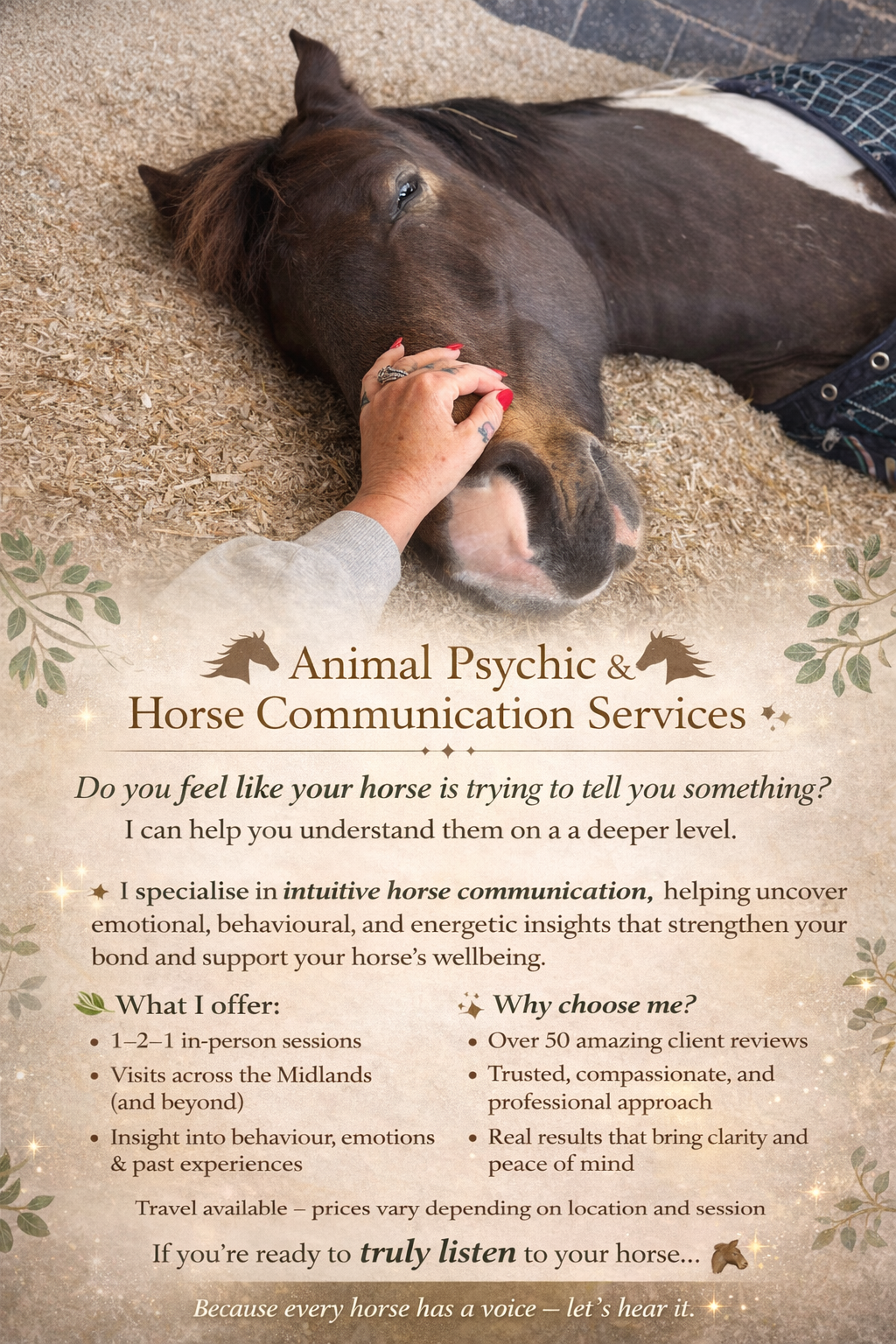 Horse communicator photo 1