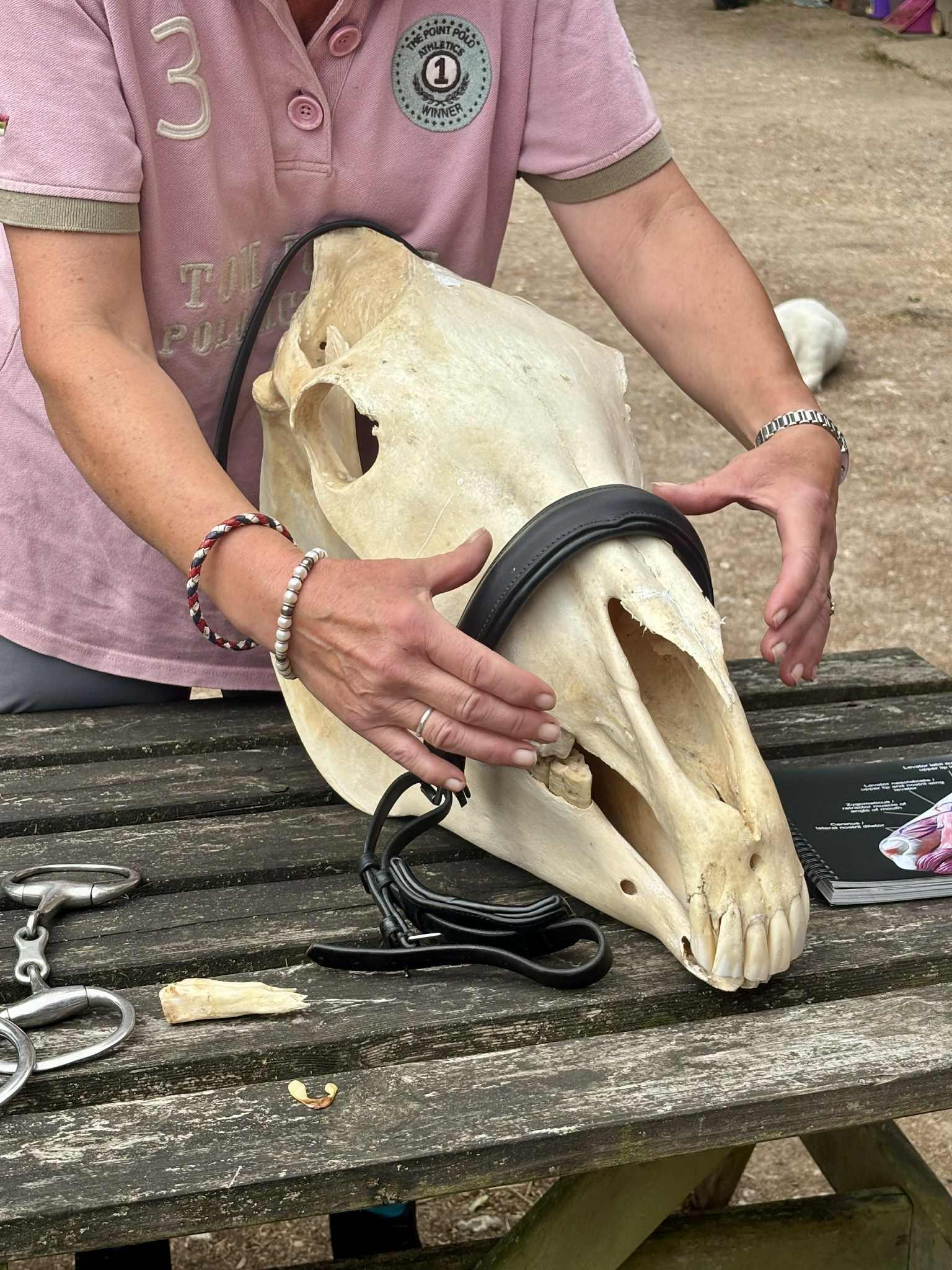 Julia Mauchline Bit & Bridle Fitter