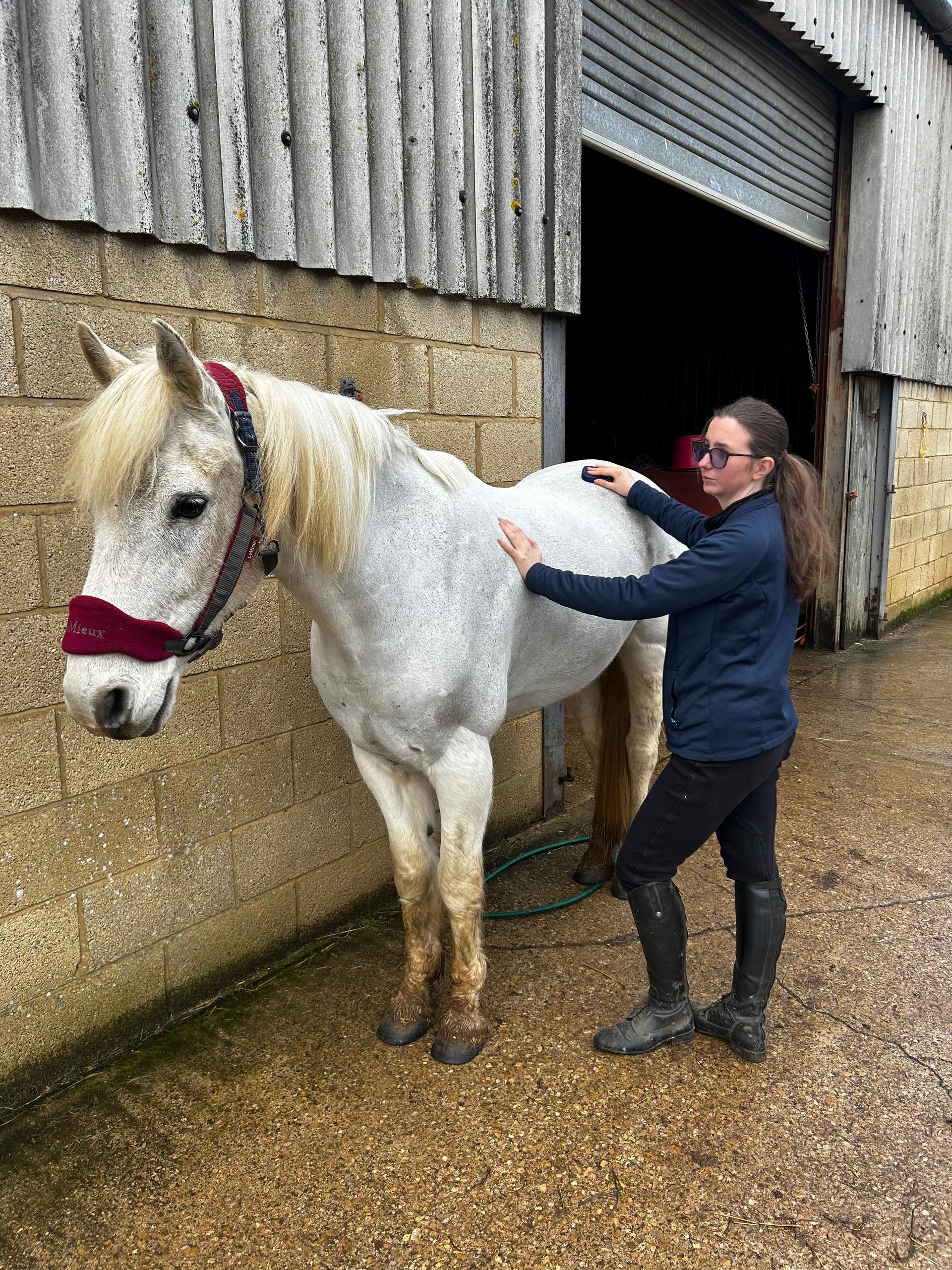 Equine Motion and Mind photo 5