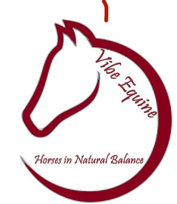 Vibe-Equine