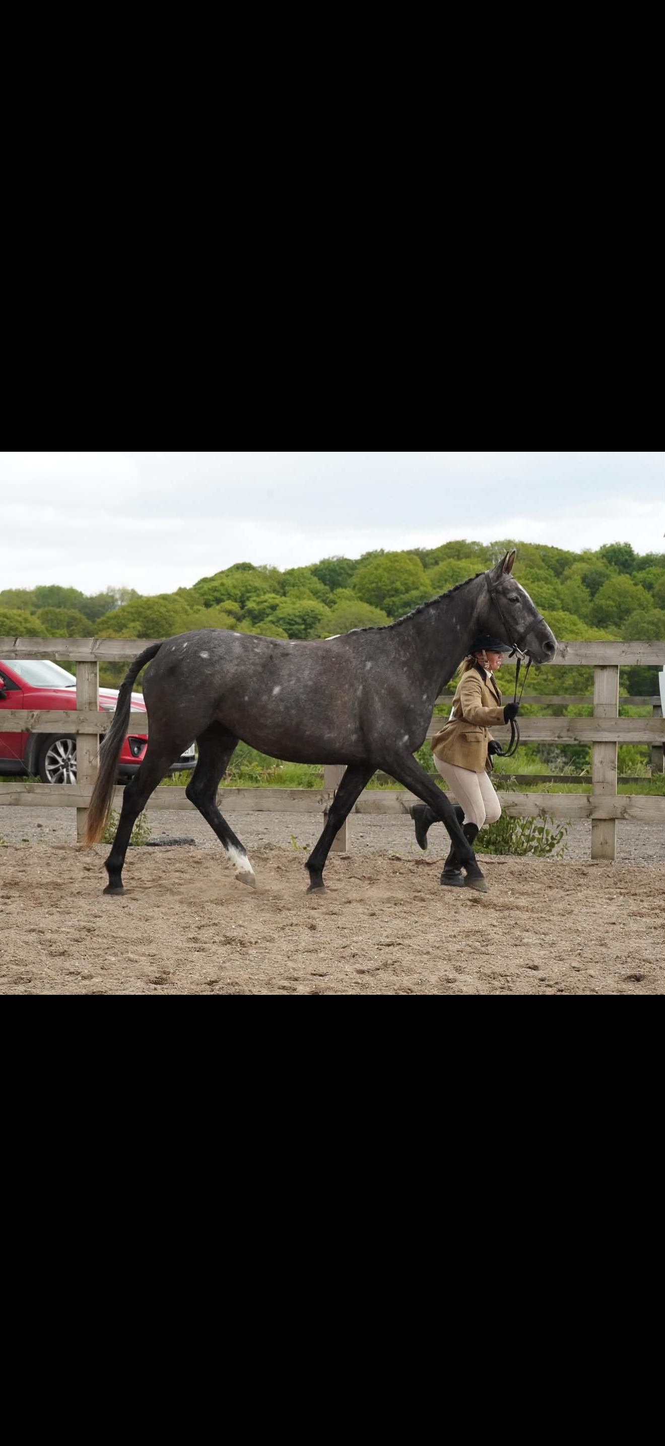 chills and champions equine photo 2