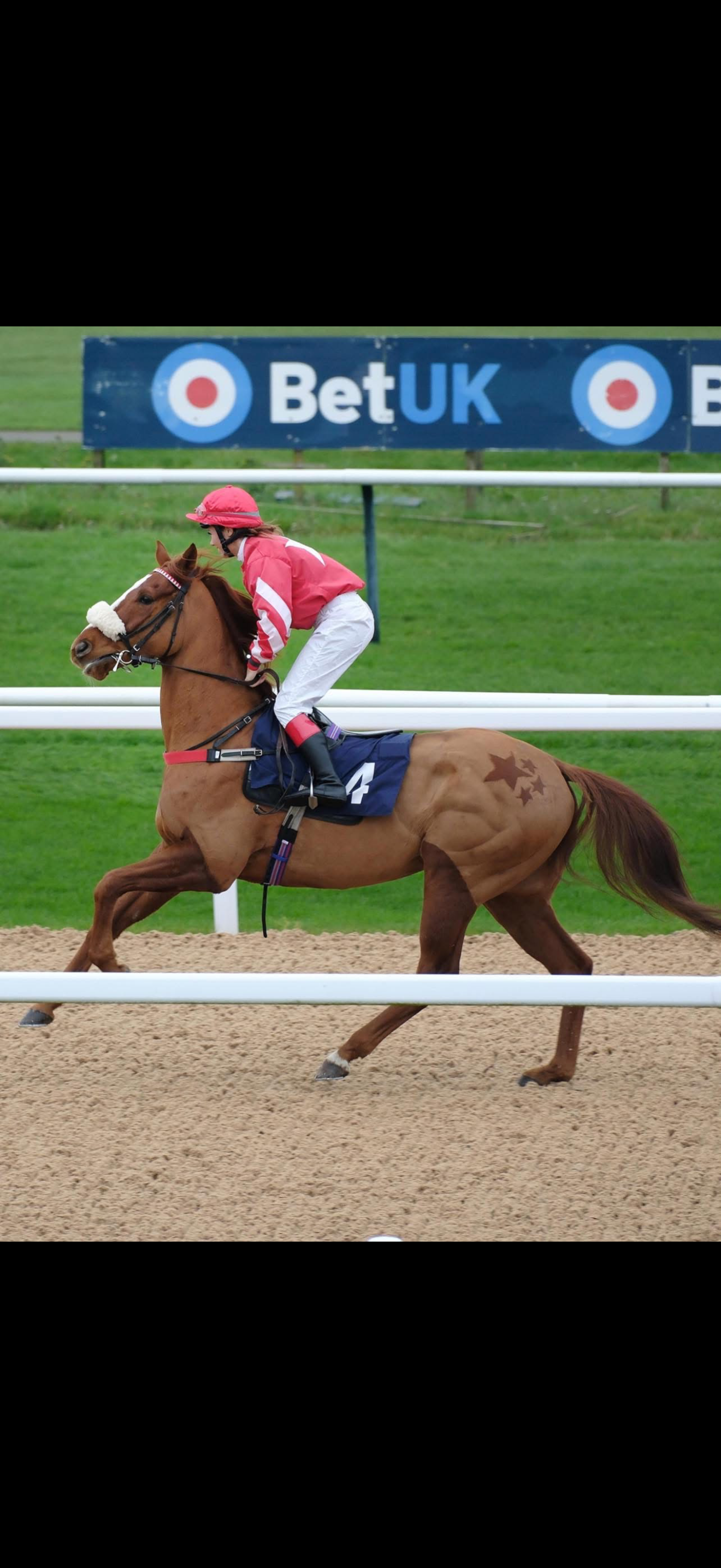 chills and champions equine photo 4