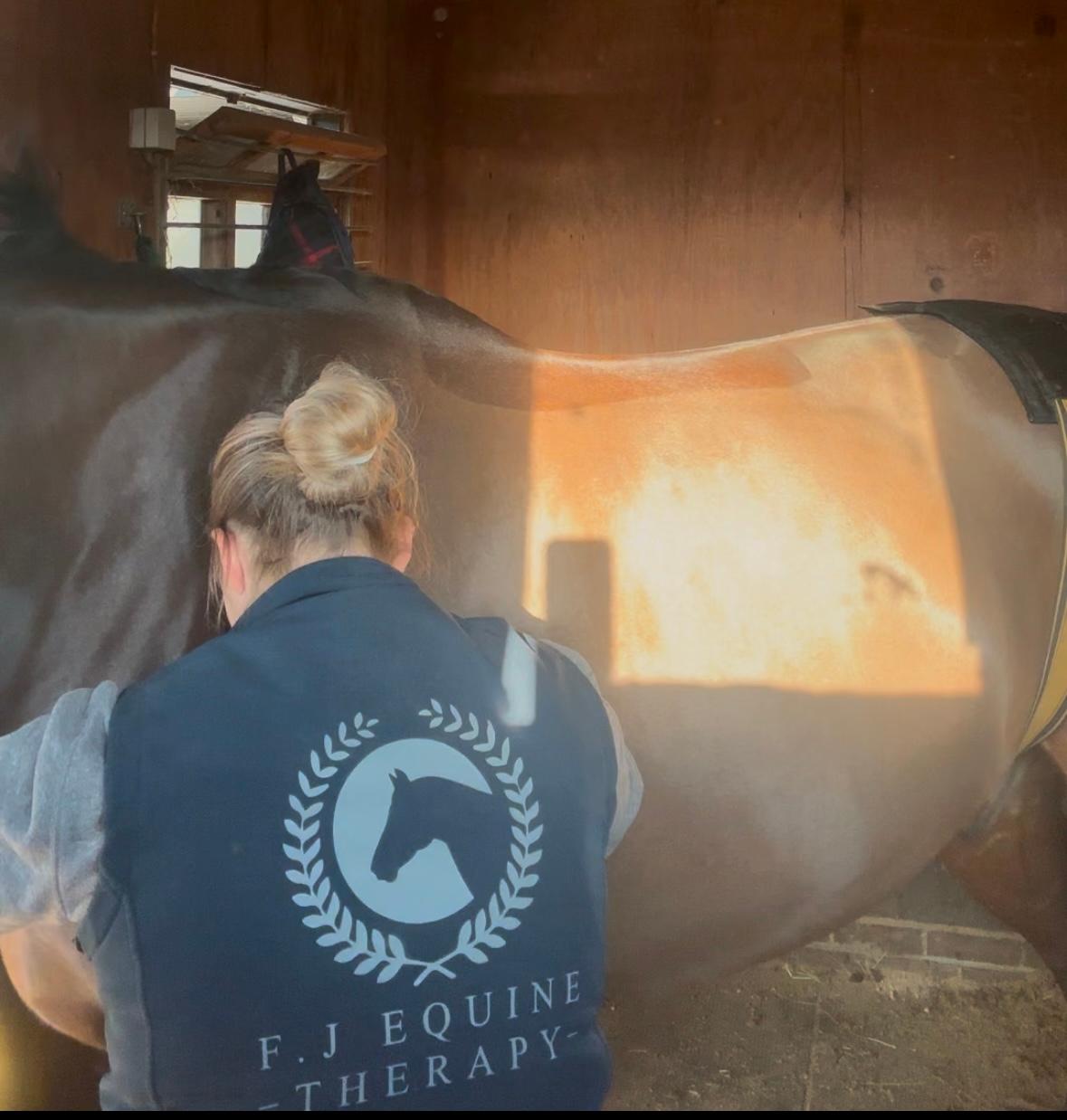 FJ Saddle Fit and Therapy photo 3