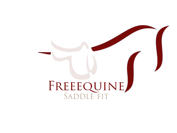 Freeequine Saddle Fitting