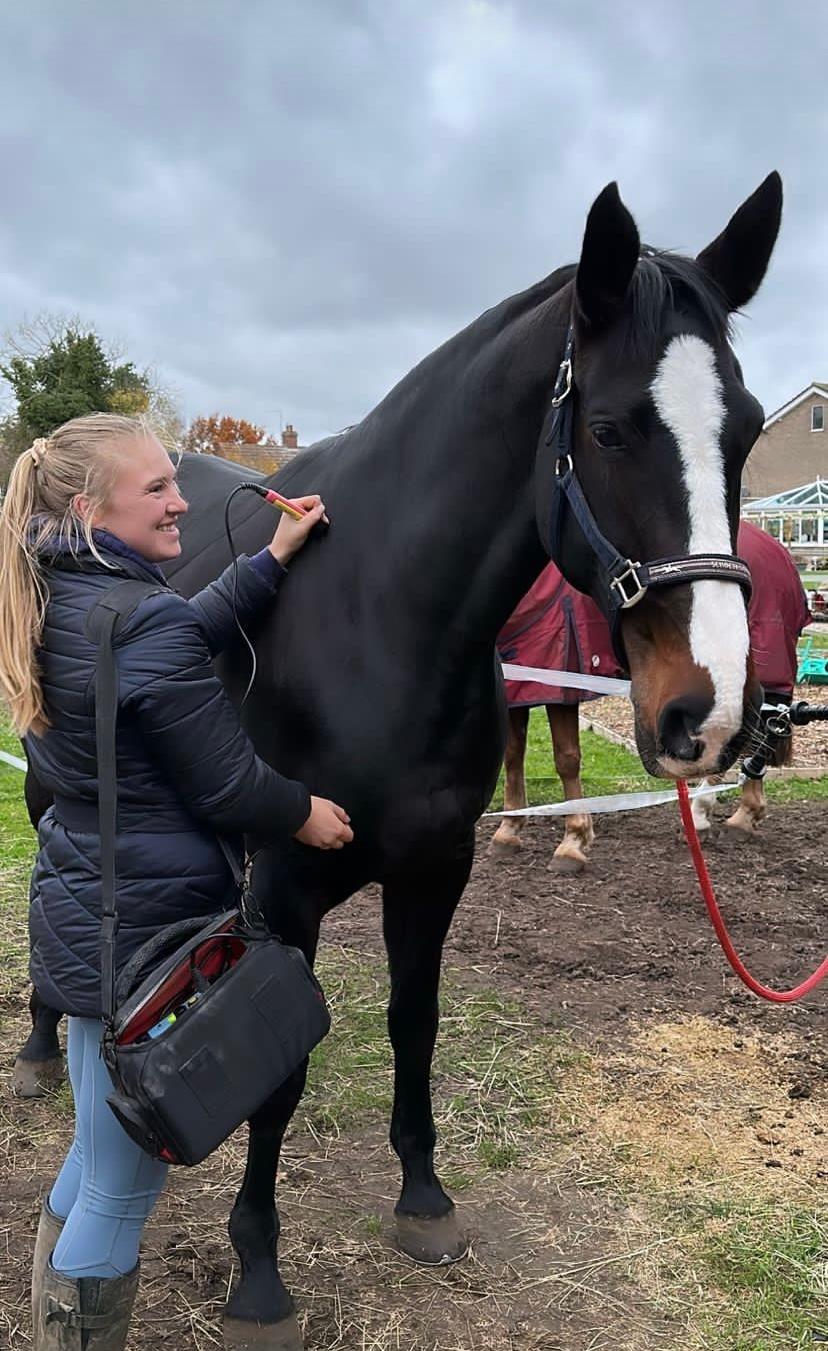 Olivia Heath Veterinary Physiotherapy photo 2