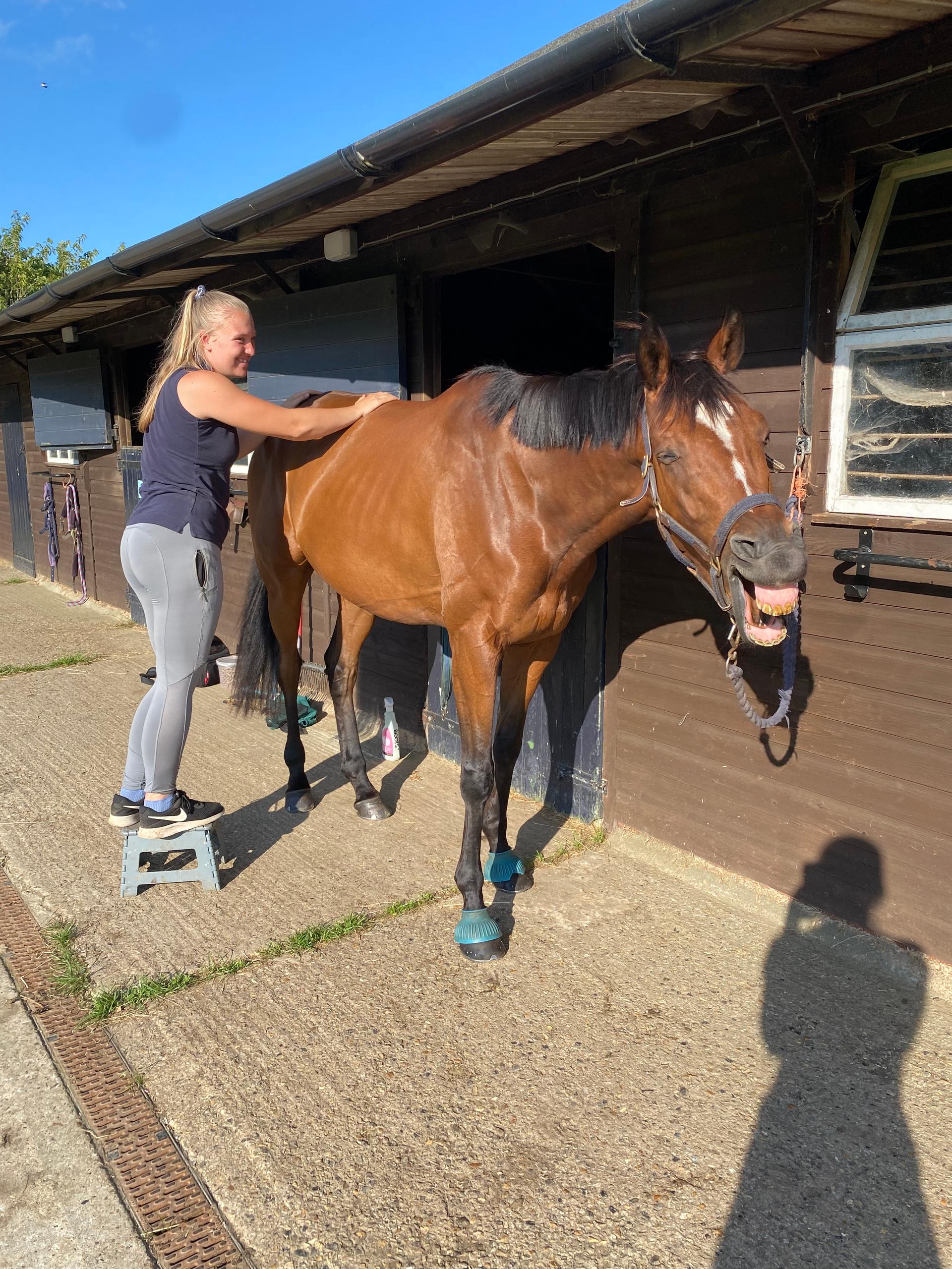 Olivia Heath Veterinary Physiotherapy photo 5