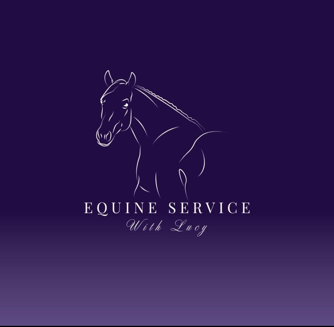 Equine service with Lucy photo 4