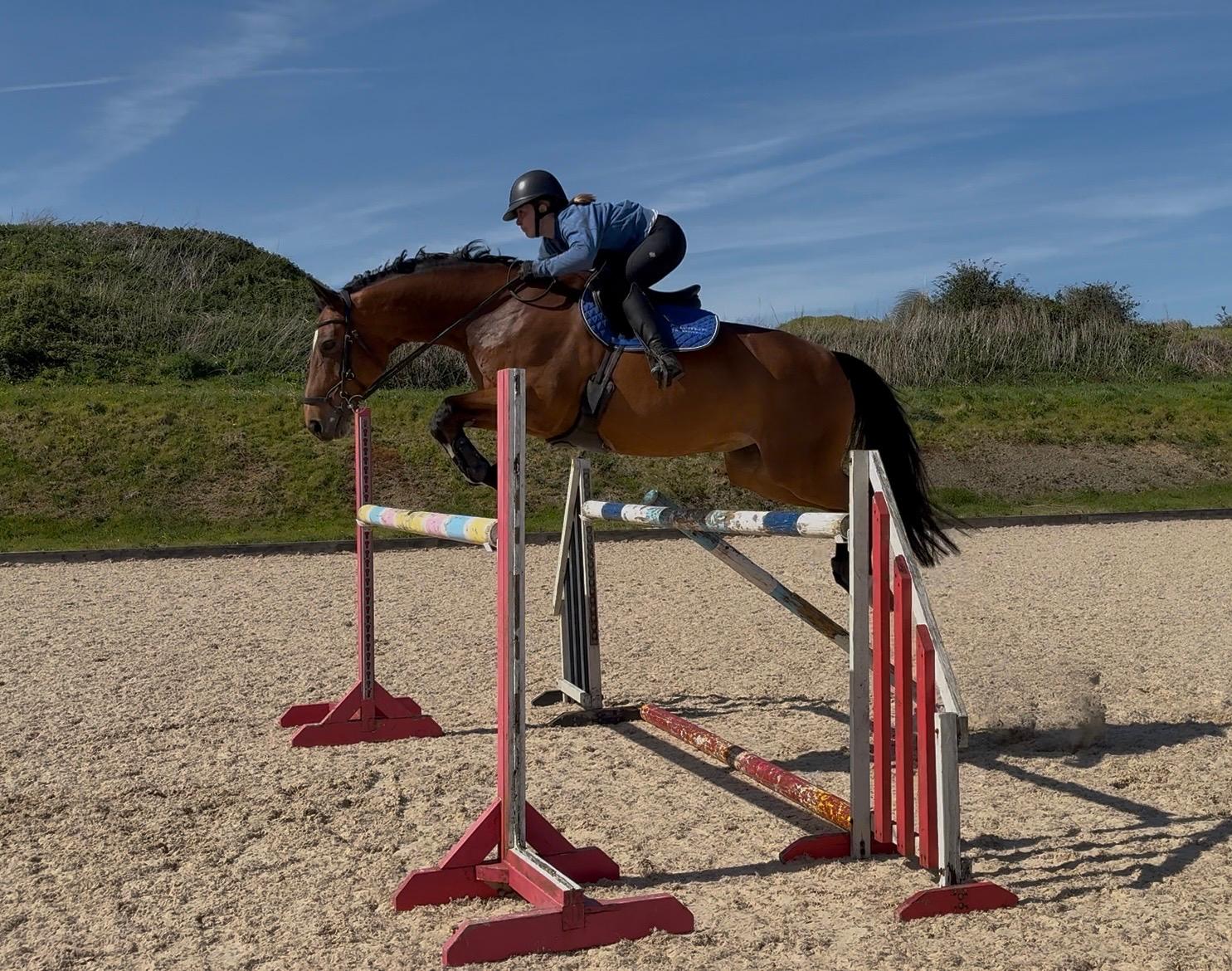 GHS Equestrian Services photo 2