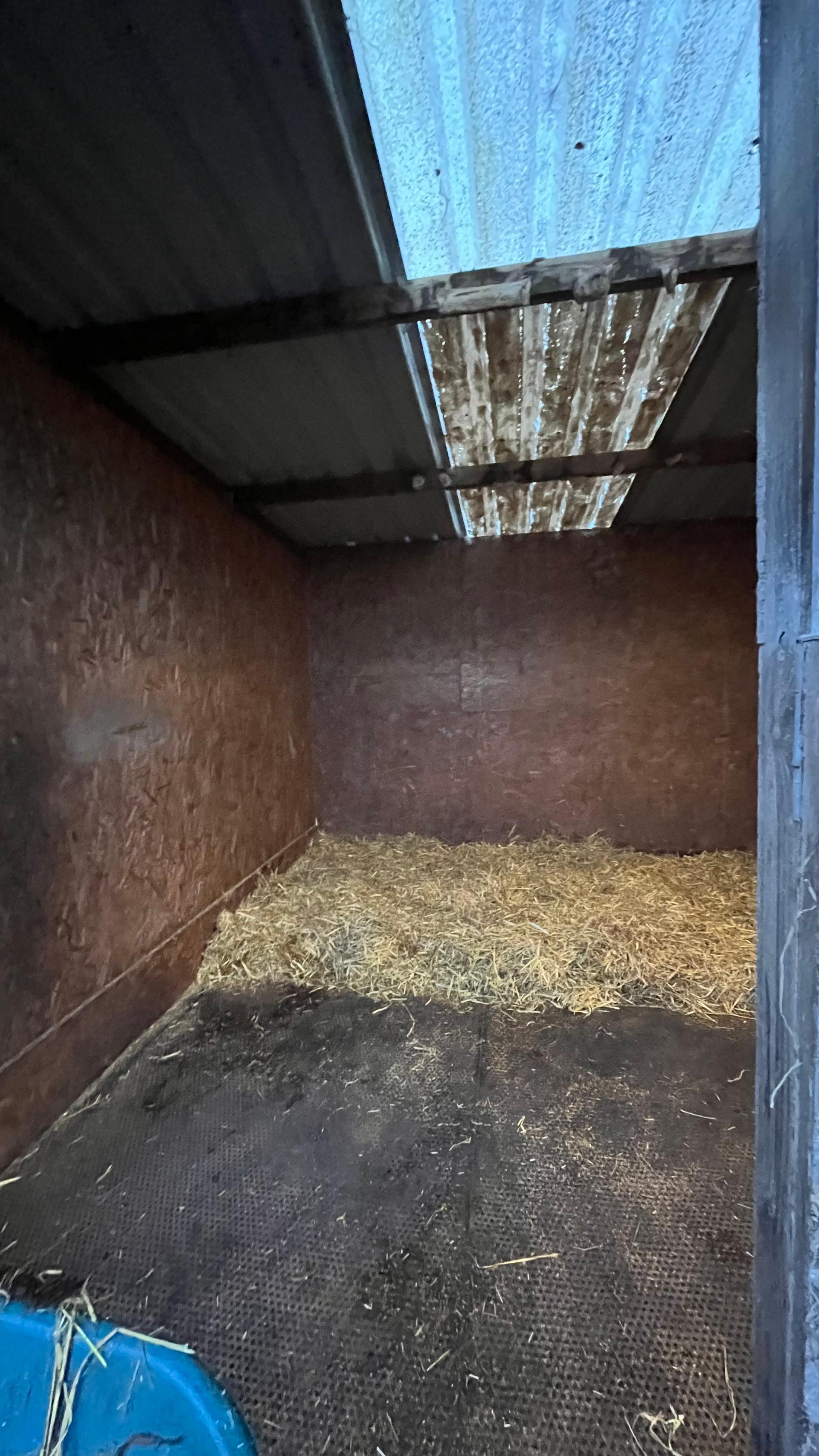 GHS Equestrian Services photo 3