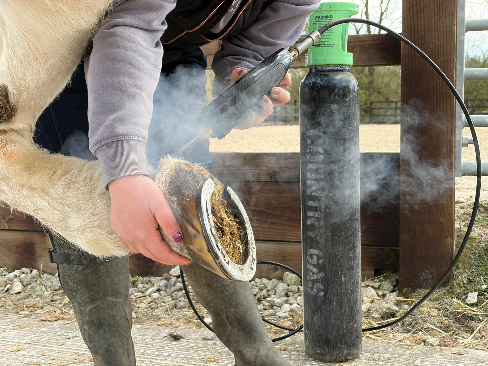 Yorkshire Wolds Equine Bodyworks & Cryotherapy photo 4