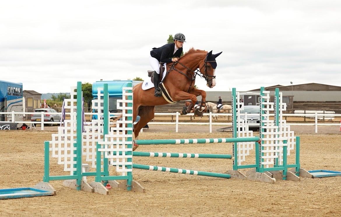 IC Horses photo 2