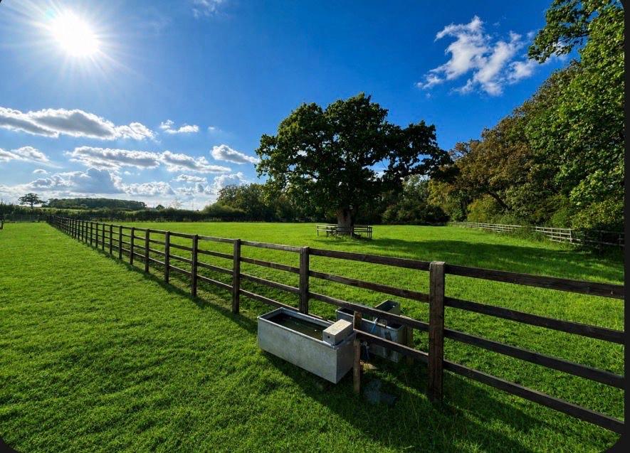 West Kington Equestrian photo 3