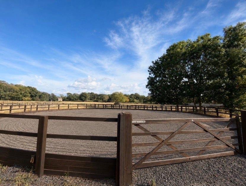 West Kington Equestrian photo 4