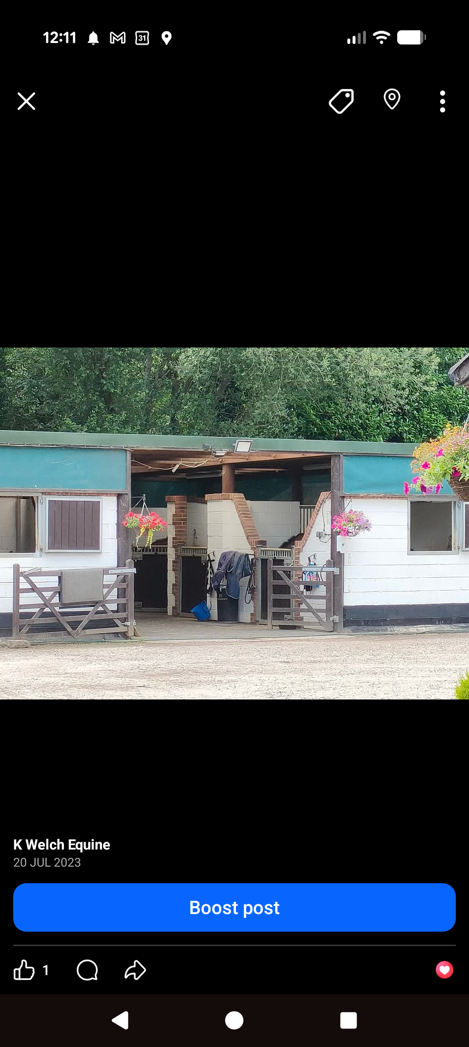 K welch equine