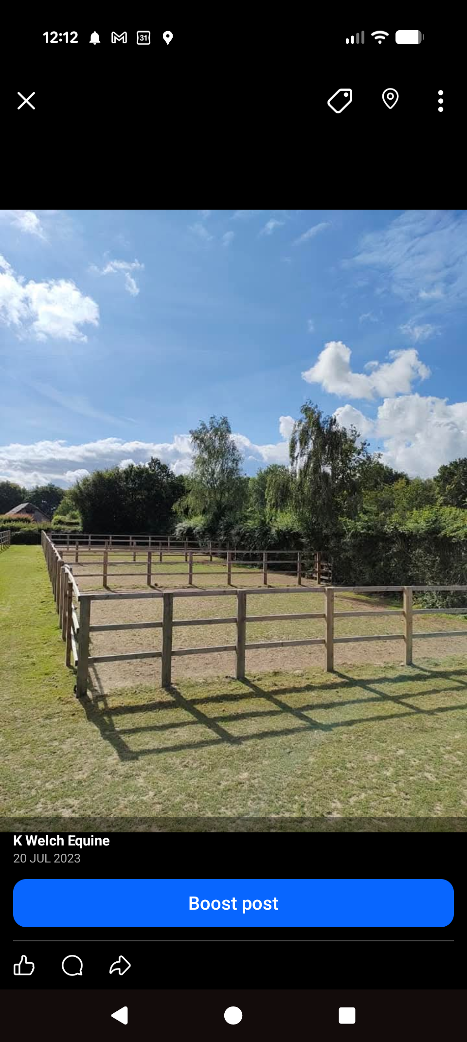 K welch equine photo 3