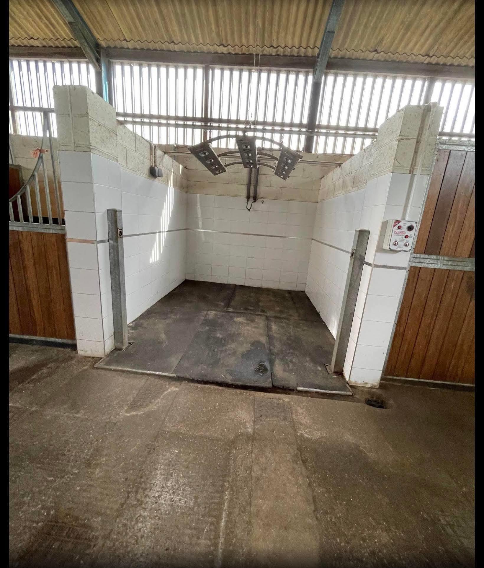 Glebe Farm Equestrian Centre photo 2