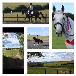 Capricorn Equestrian photo 2