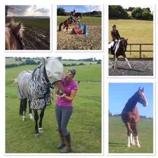Capricorn Equestrian photo 3