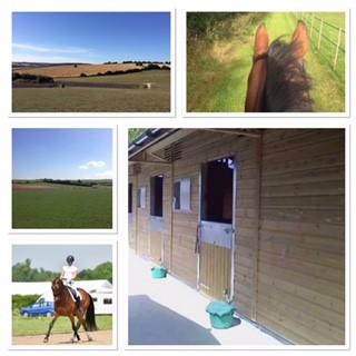 Capricorn Equestrian photo 4