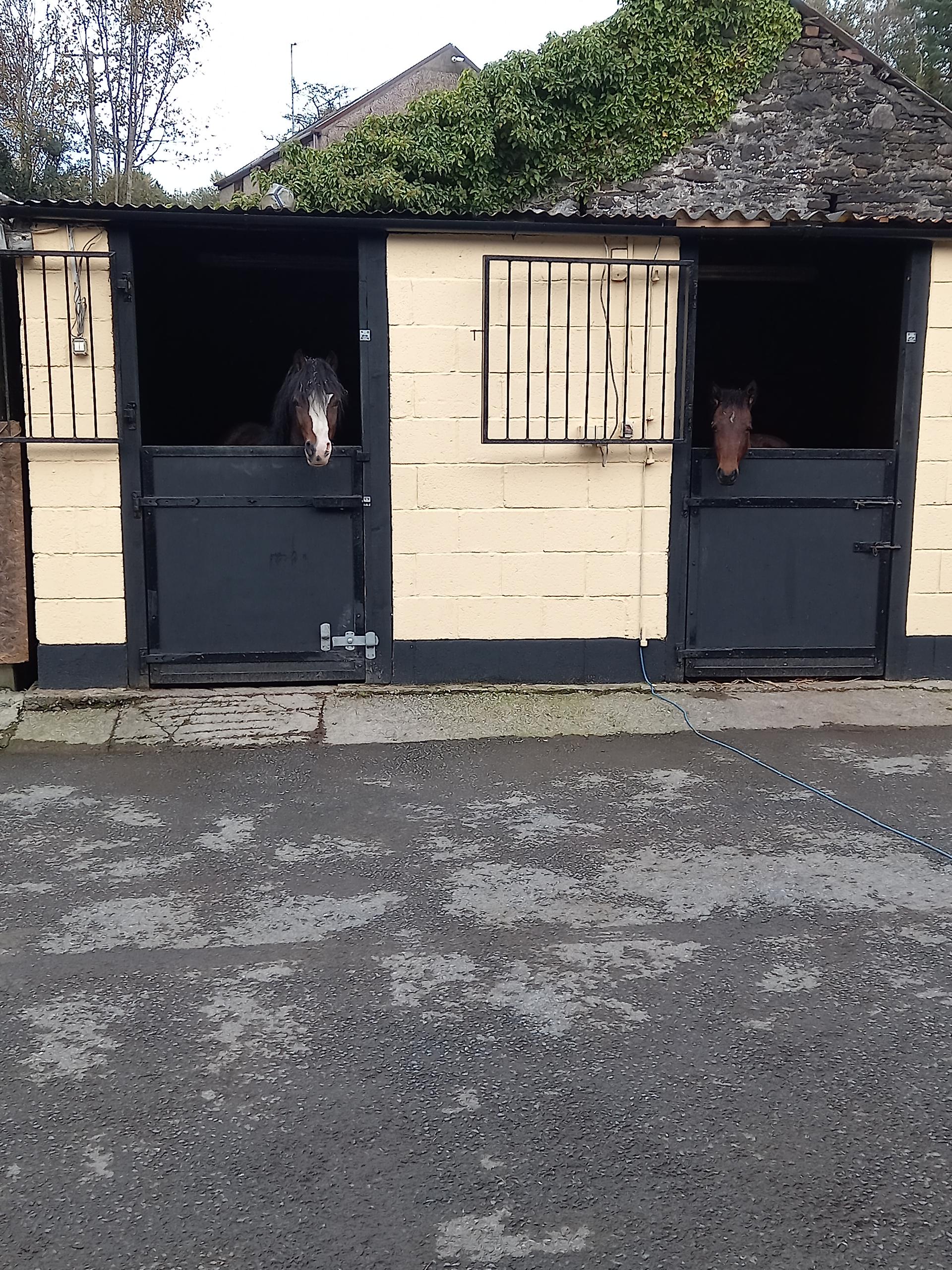 Alltwen ISAF farm photo 4