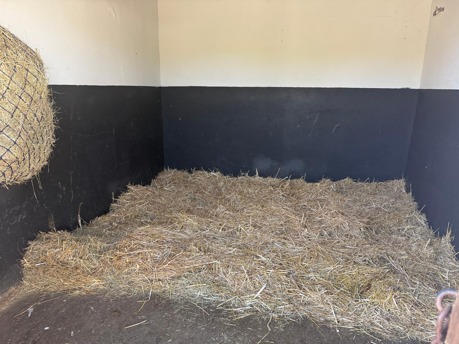Pegasus stables photo 1