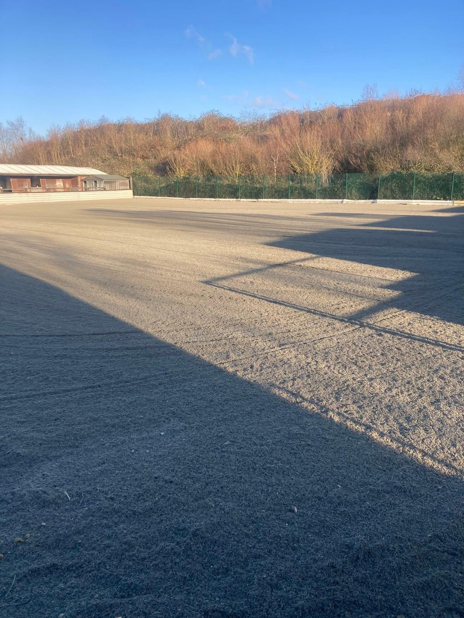 Pegasus stables photo 3
