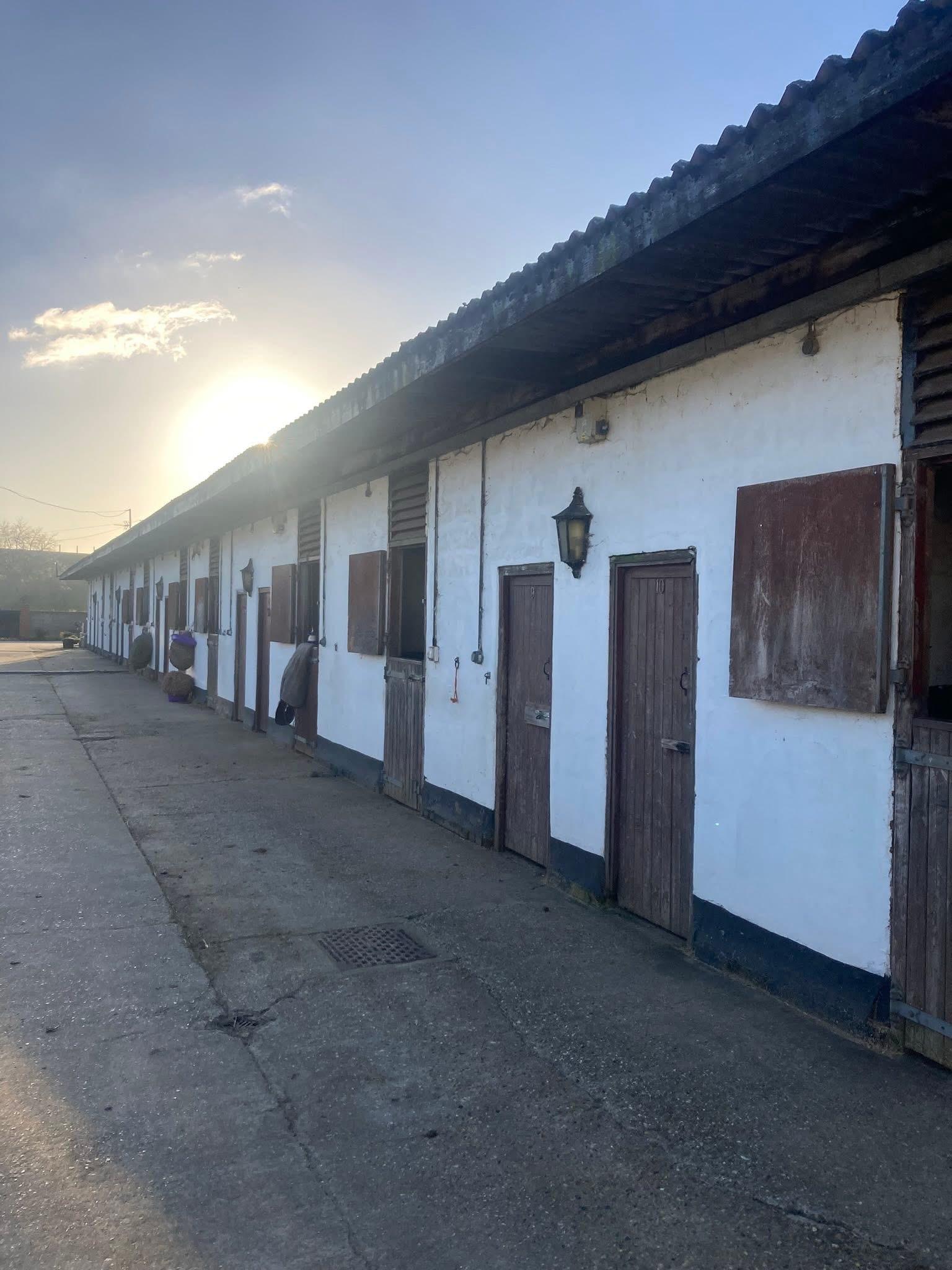 Pegasus stables photo 4