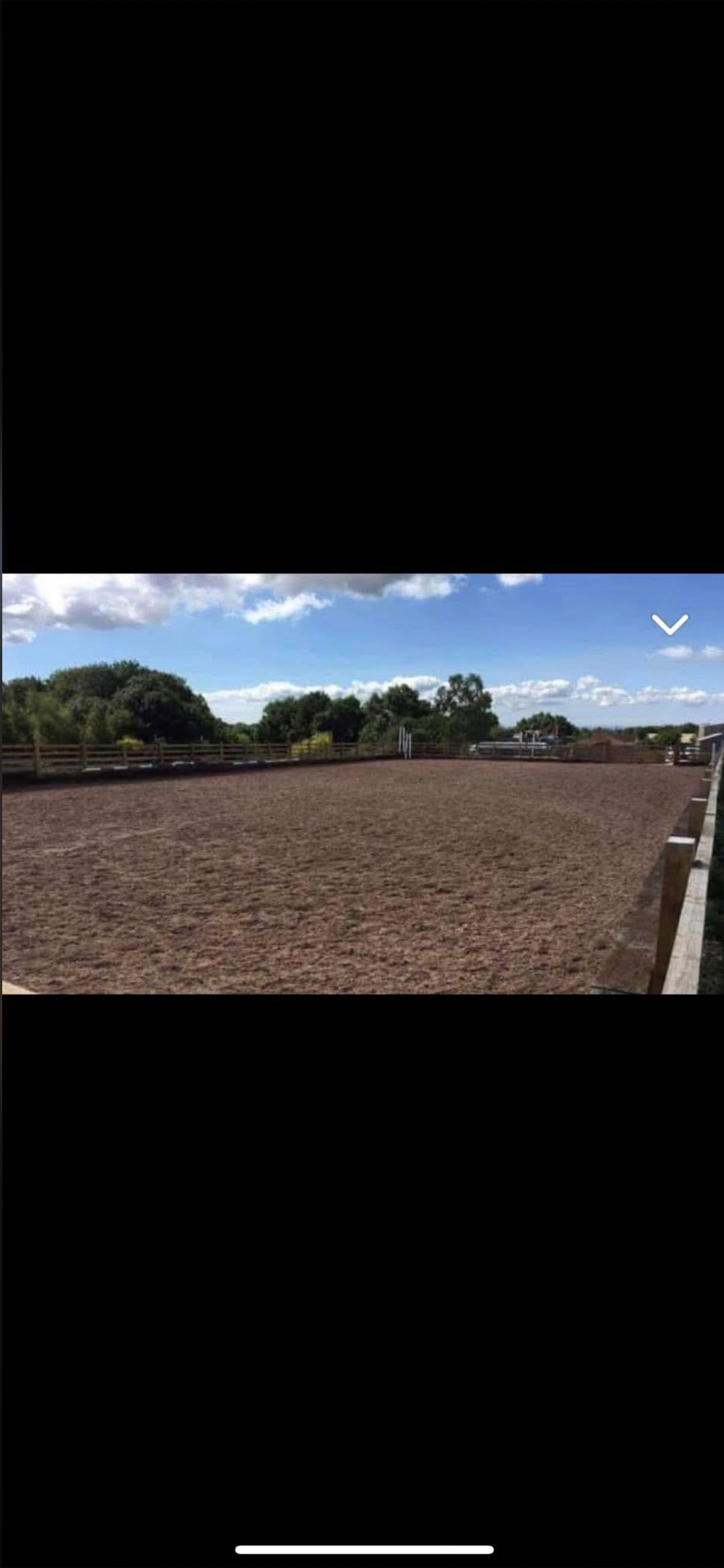 Jw equestrian photo 2