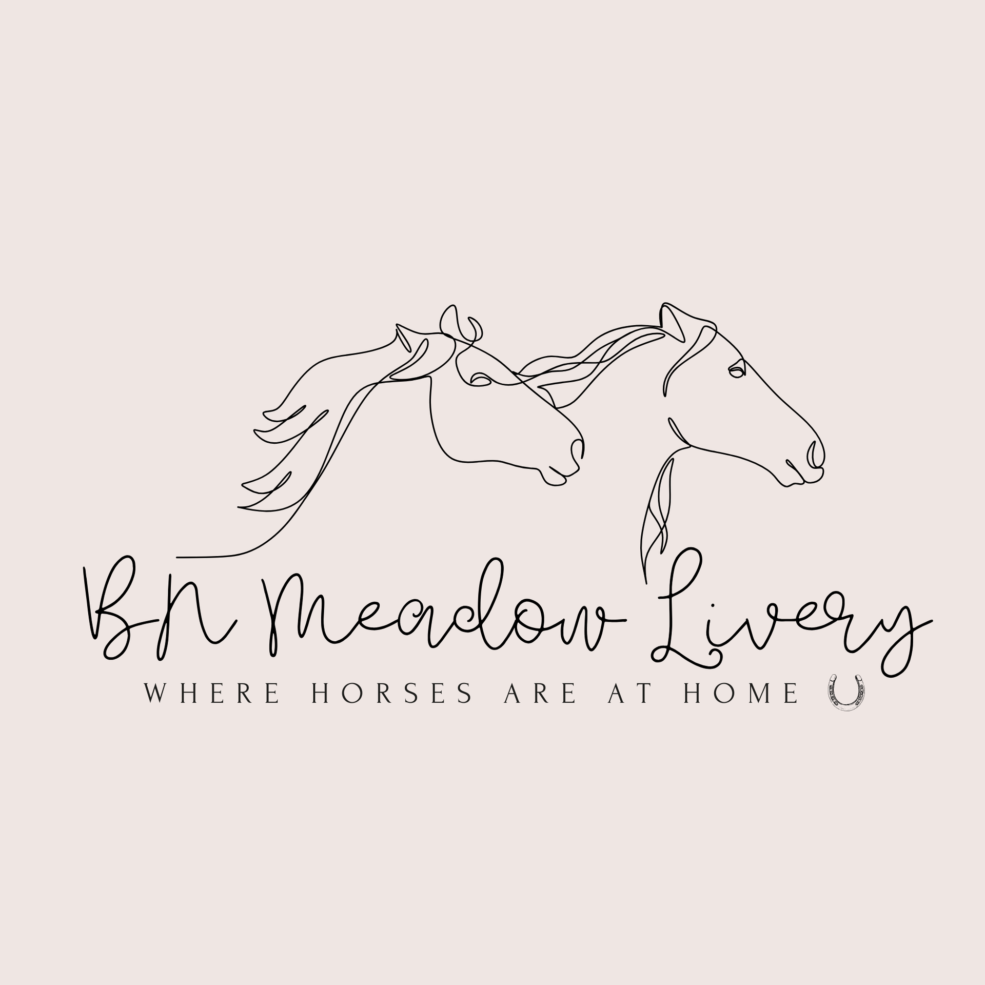 BN Meadow Livery