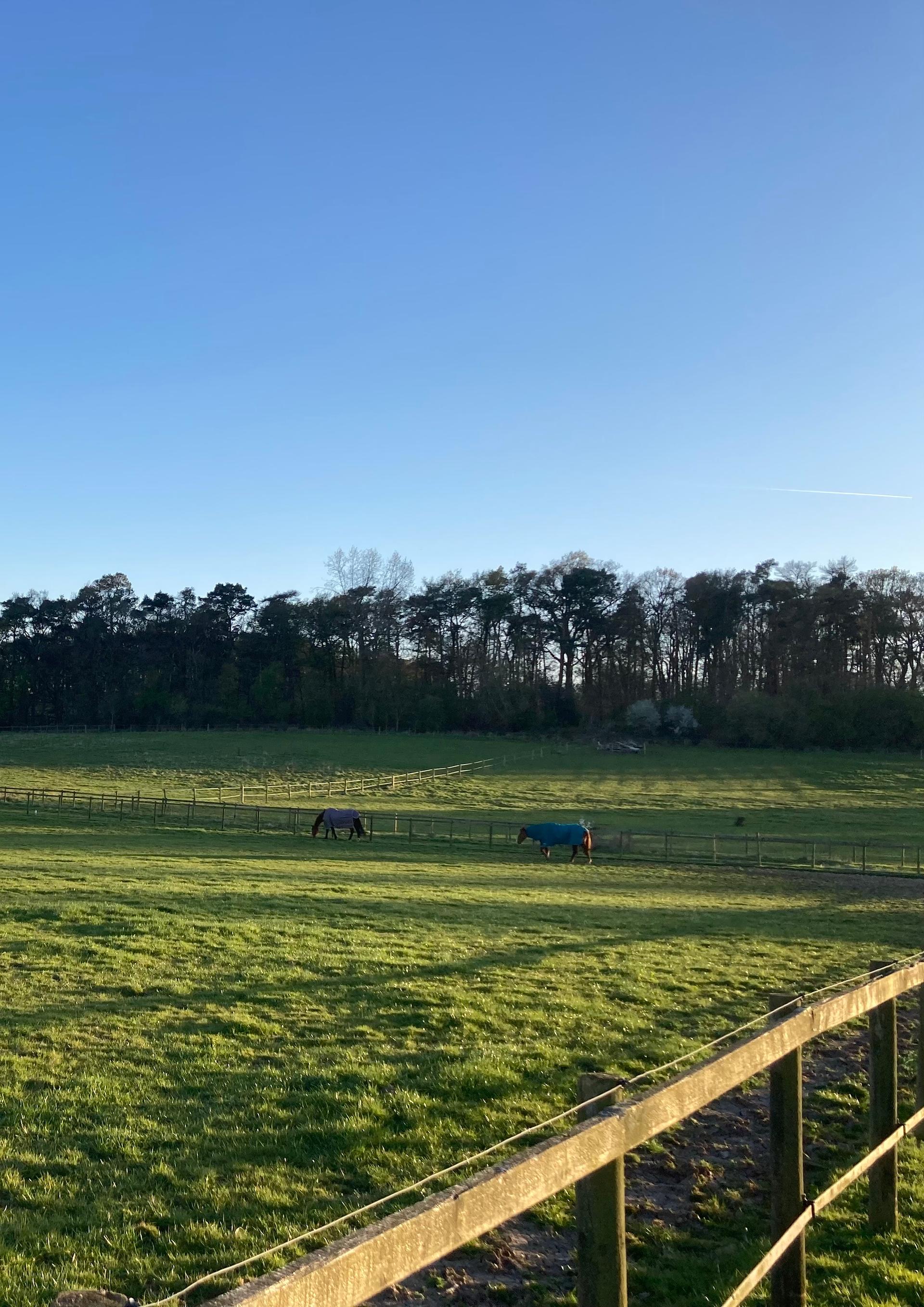 Skilts Farm Stables
