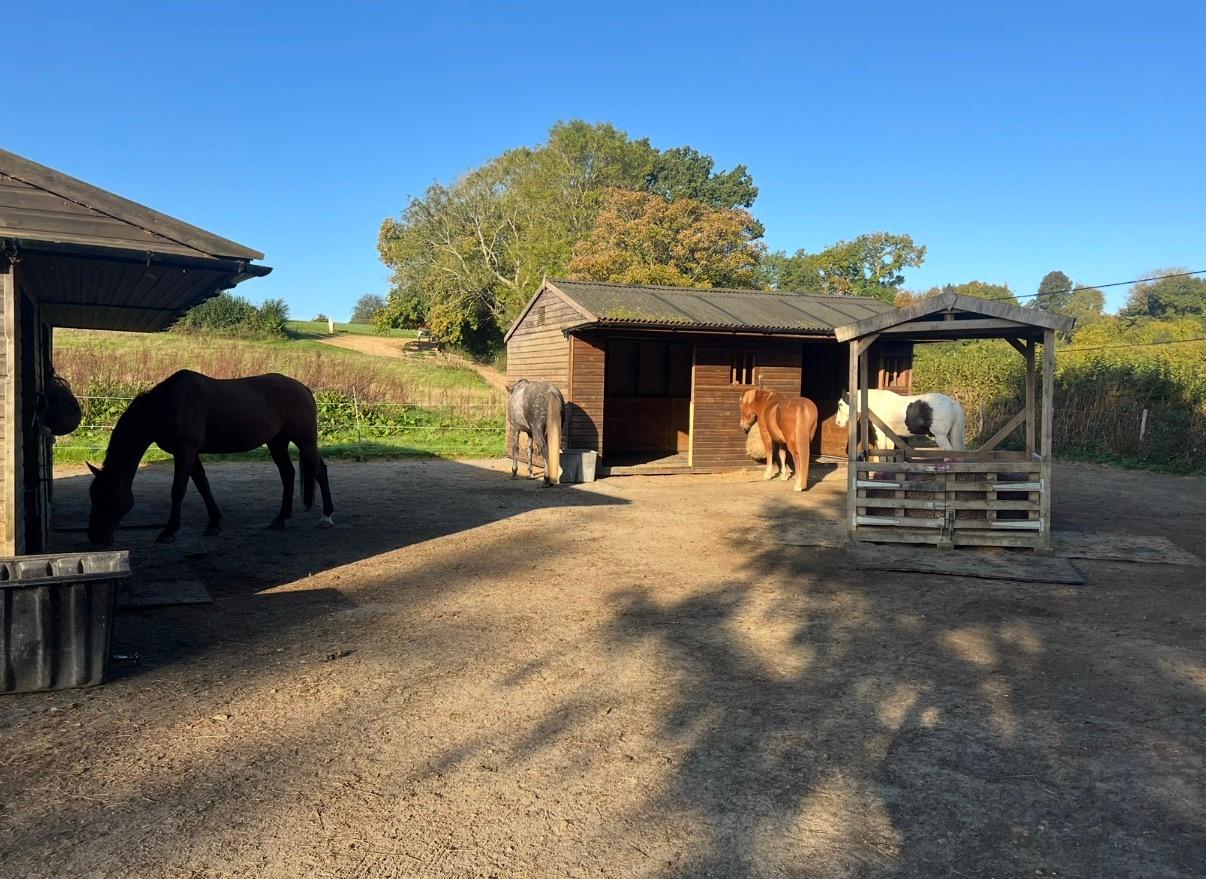 Spilsted equestrian photo 2