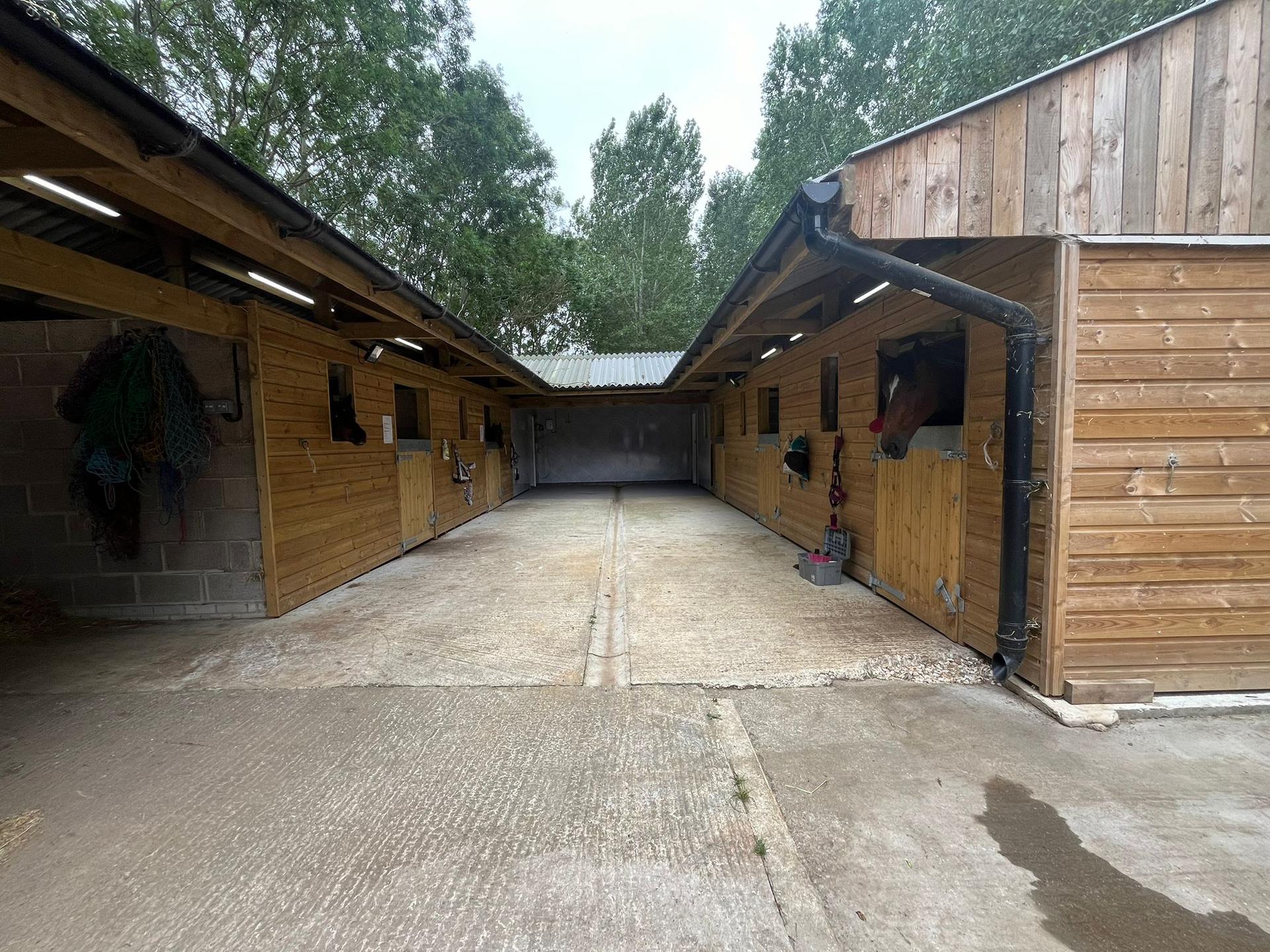 Top Lodge Equestrian photo 1