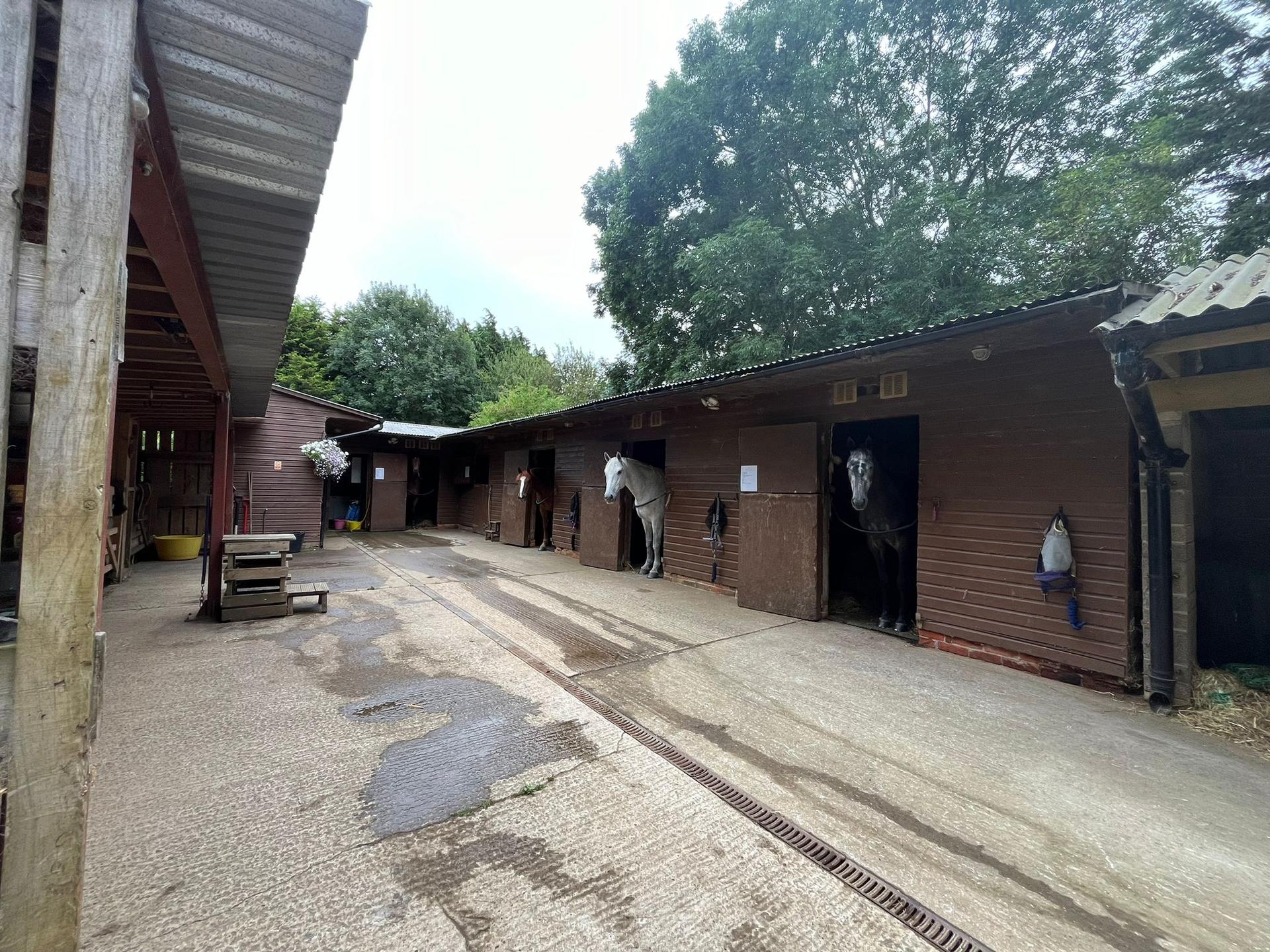 Top Lodge Equestrian photo 2
