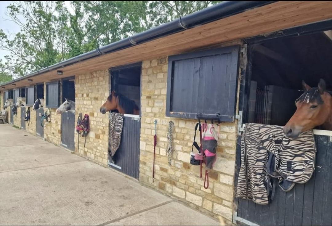 Pinchgut Stables photo 1