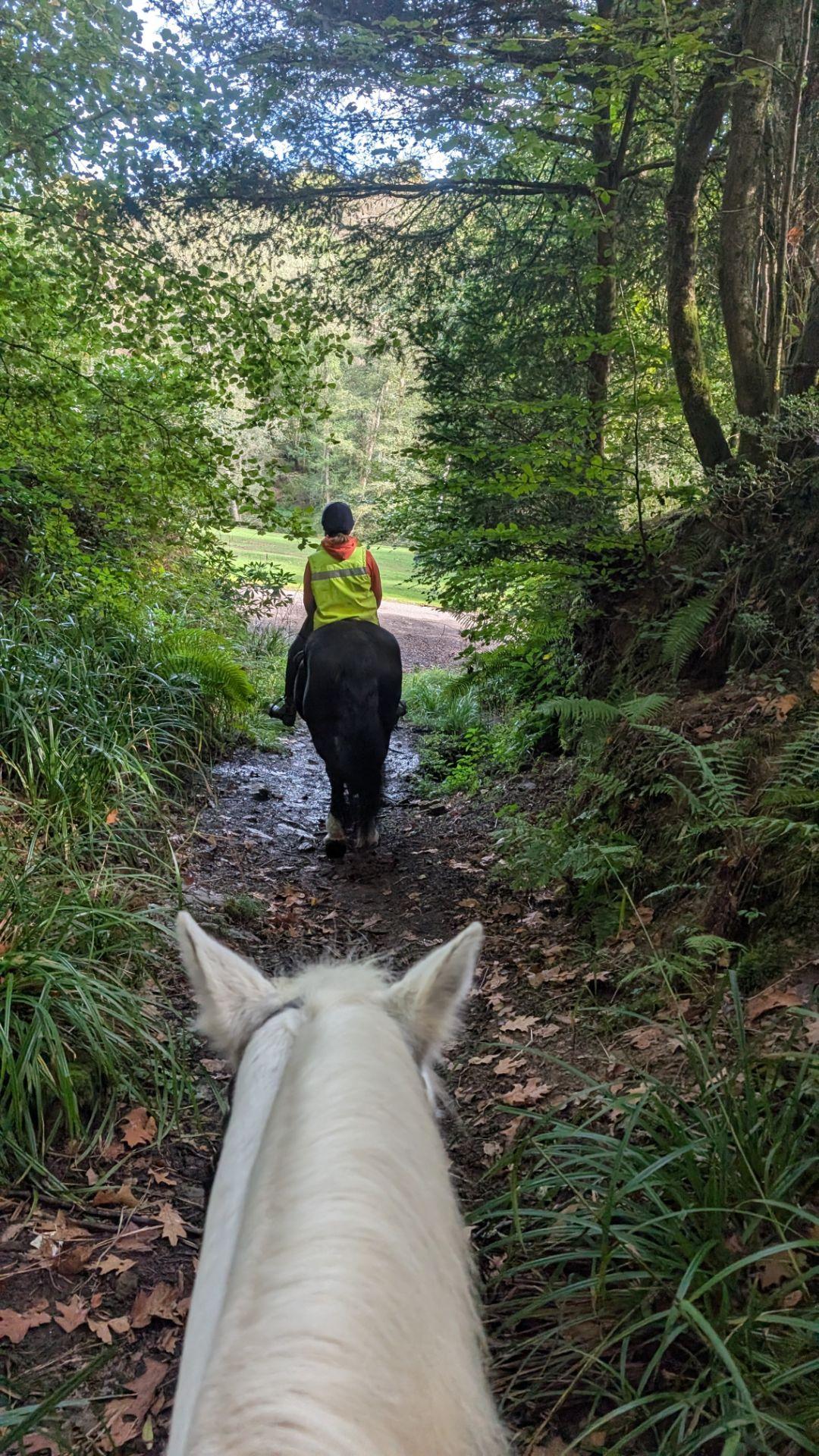 Above the Saddle