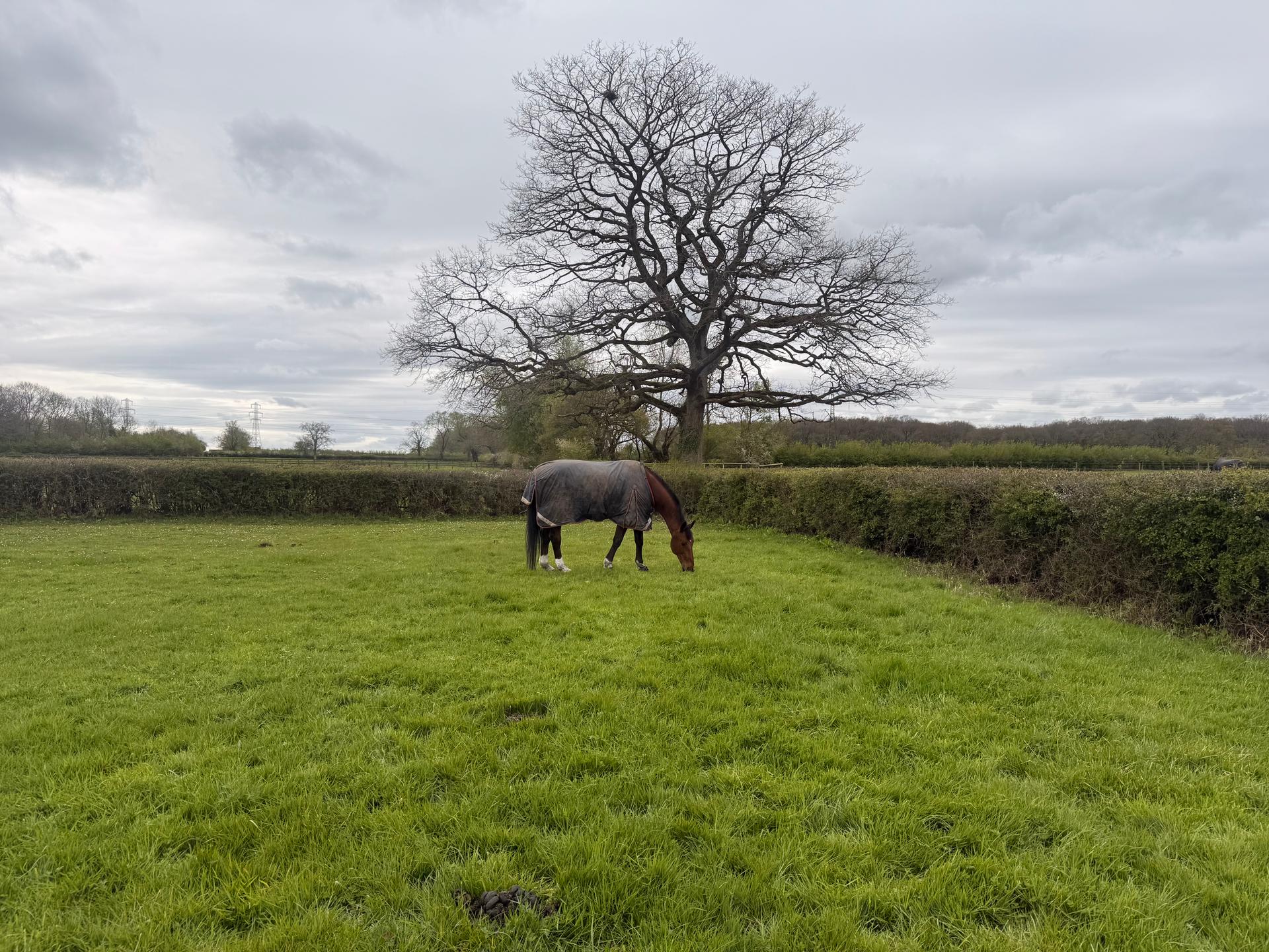 Ravensbrook Farm