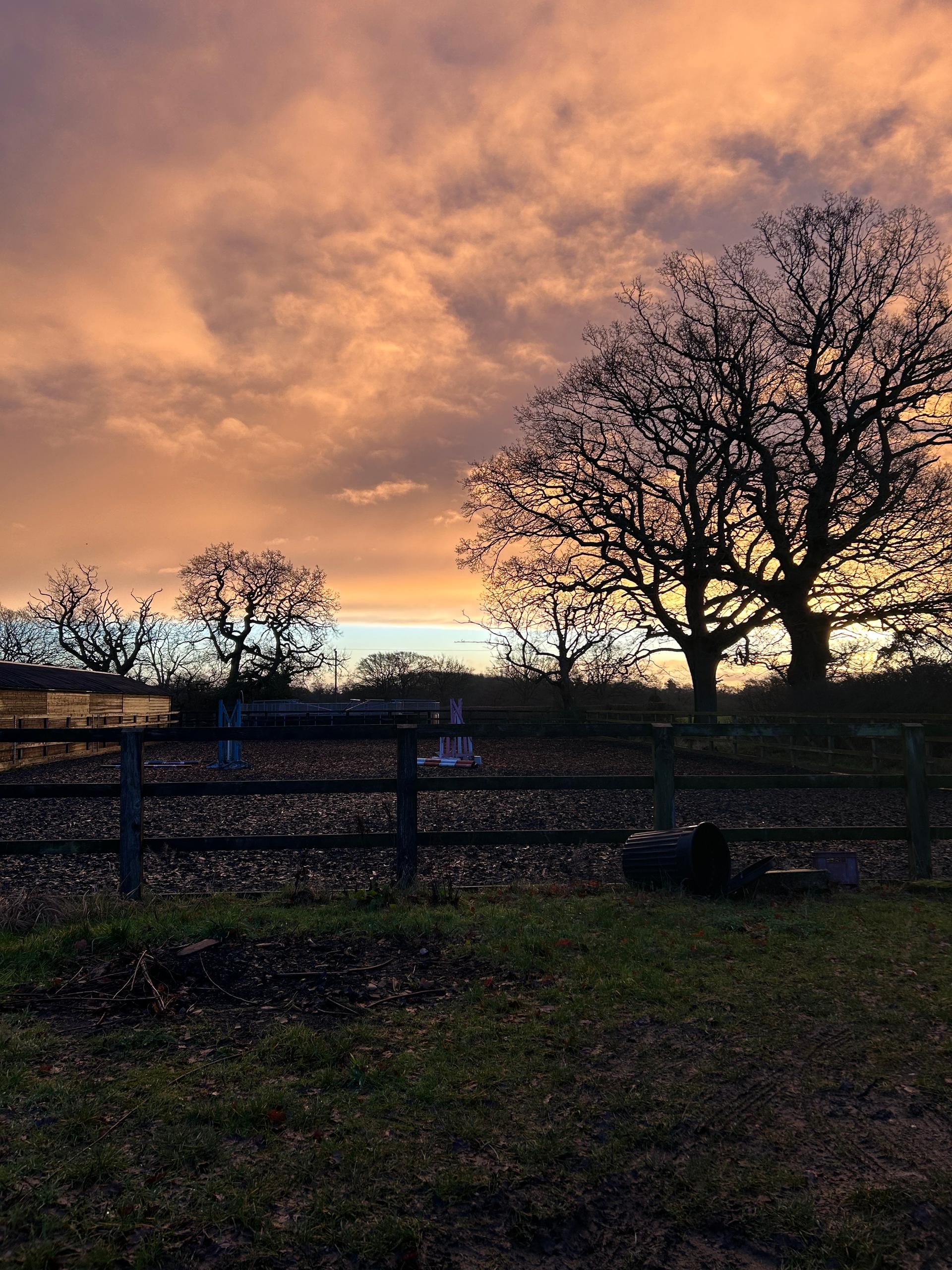 Ceri Smith Equestrian photo 2