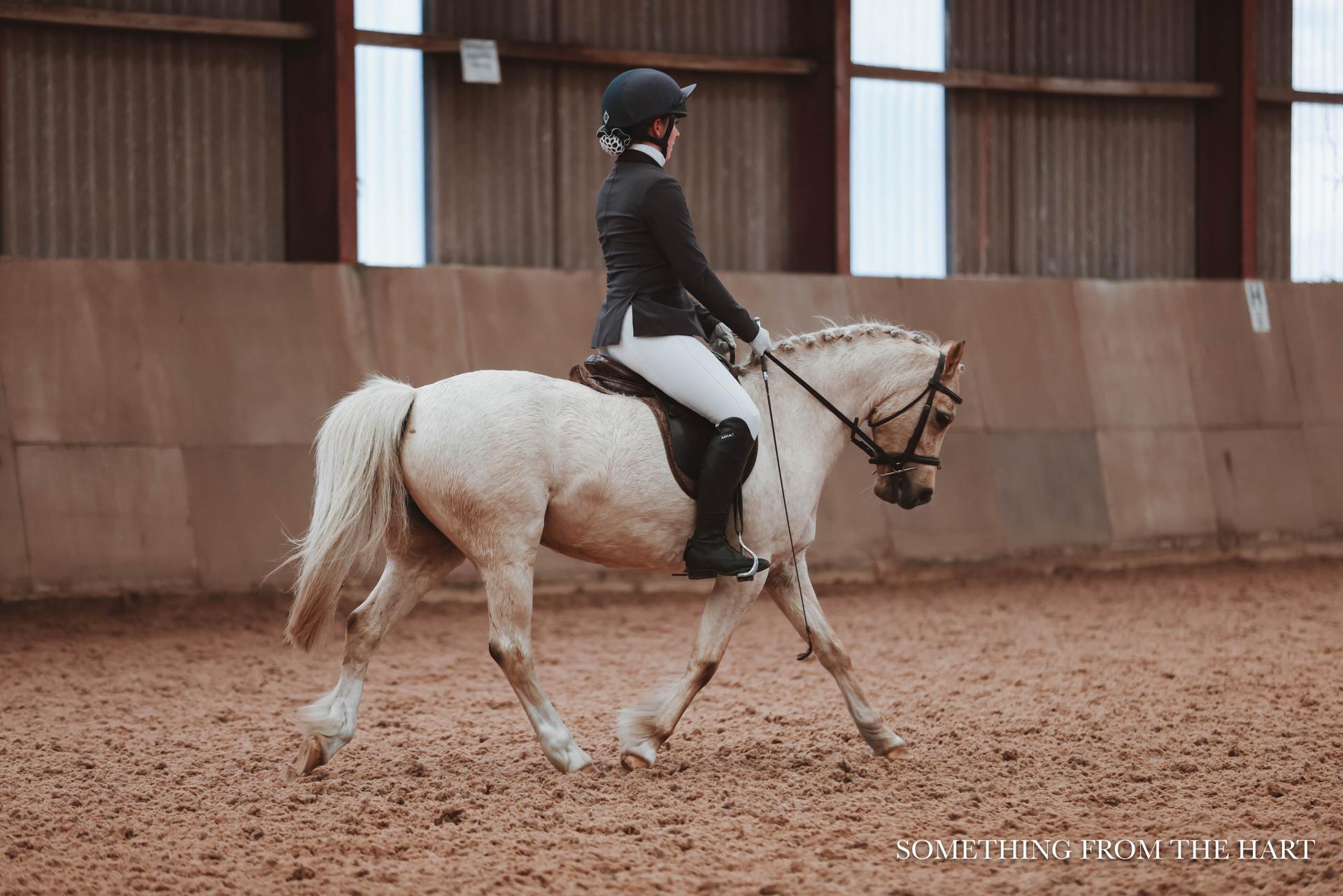 Ceri Smith Equestrian photo 5