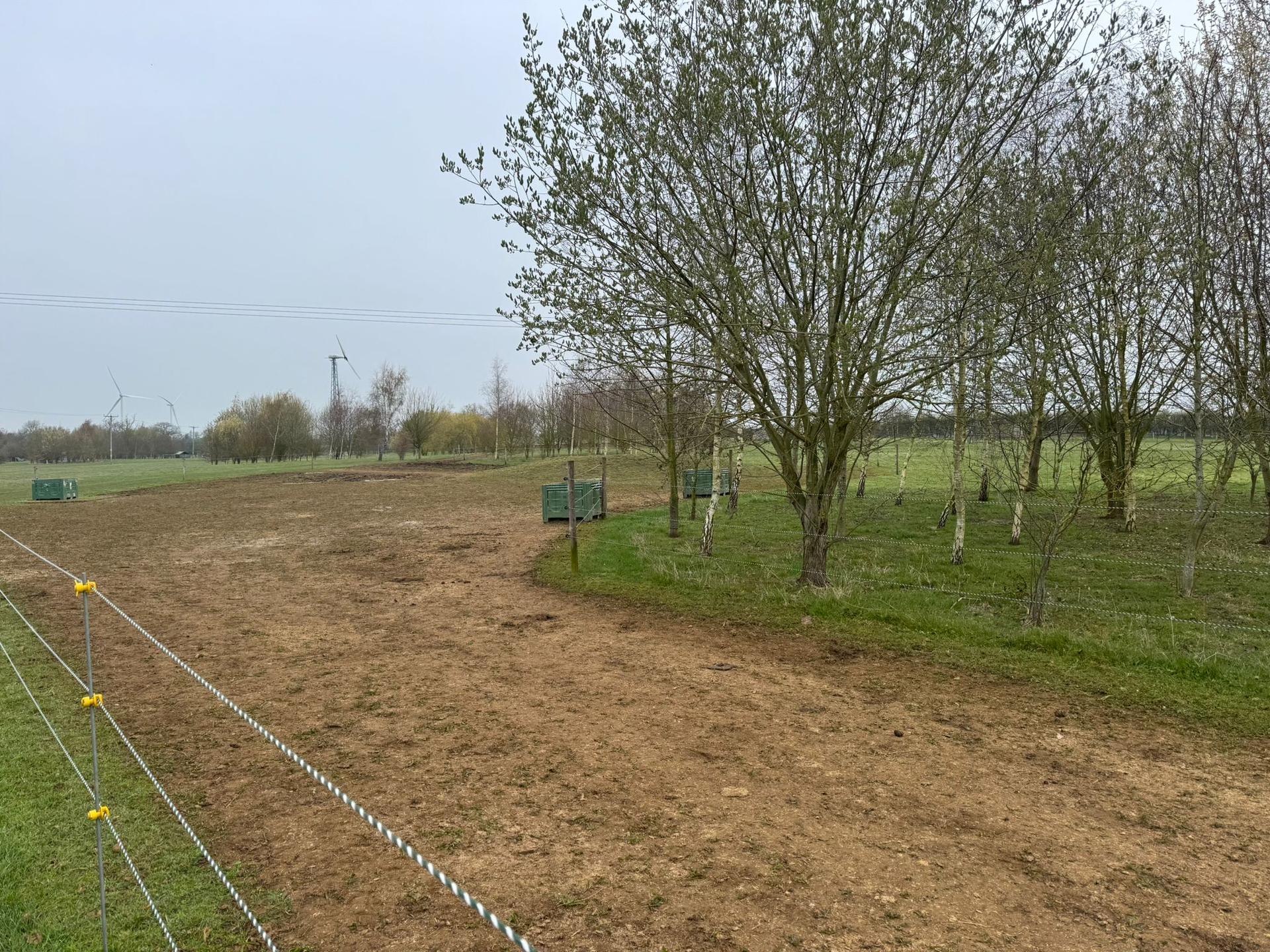 Poolbrooke Equestrian Track Livery photo 4