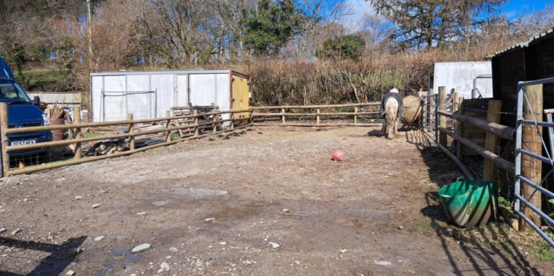 Pencarrow livery stables photo 3