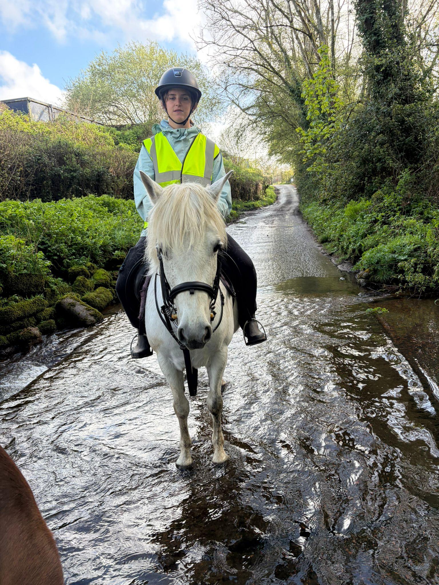 Springall equestrian services photo 1
