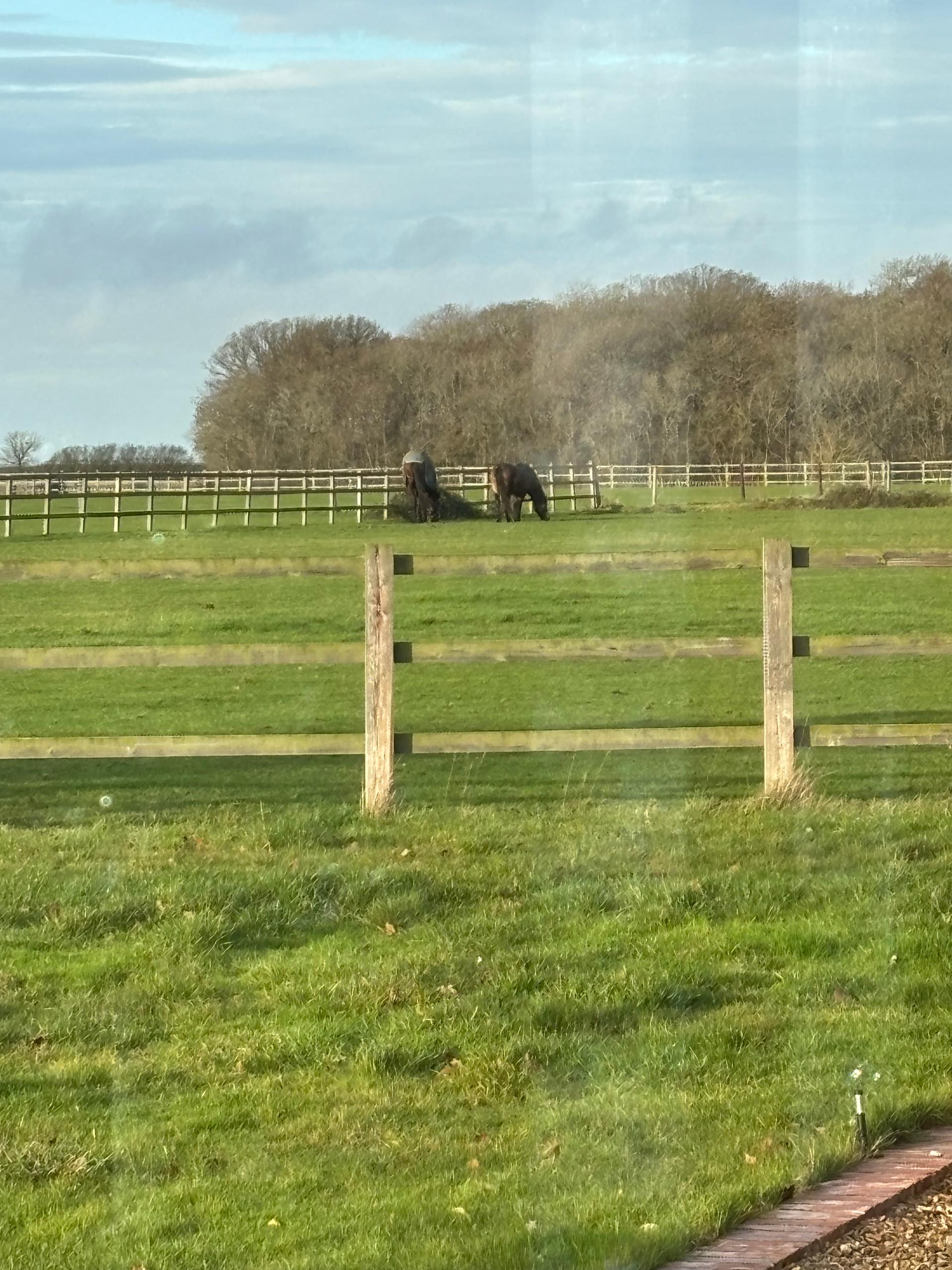 Barnwell Wold Livery Yard photo 2